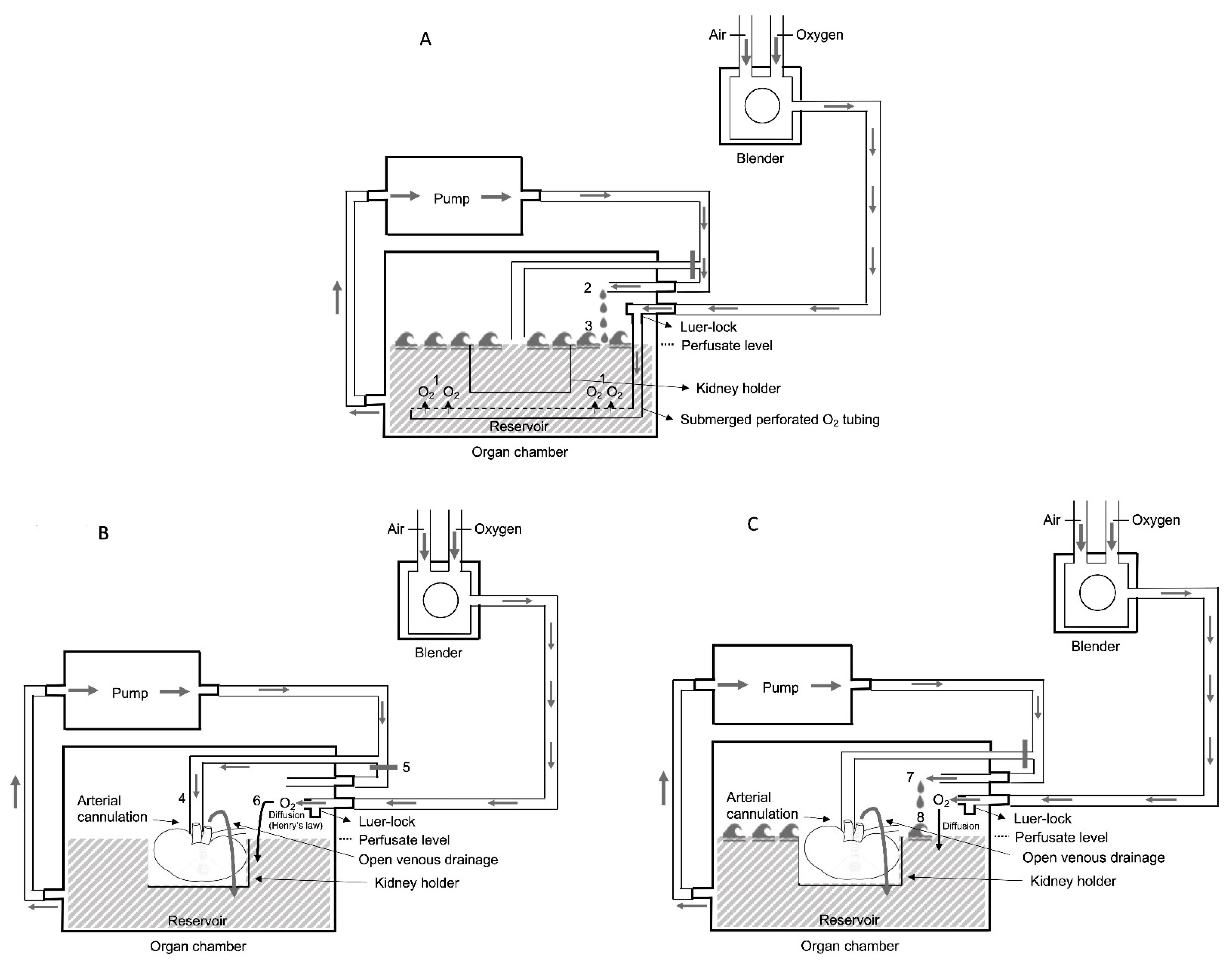 Biomedicines 09 00993 g002