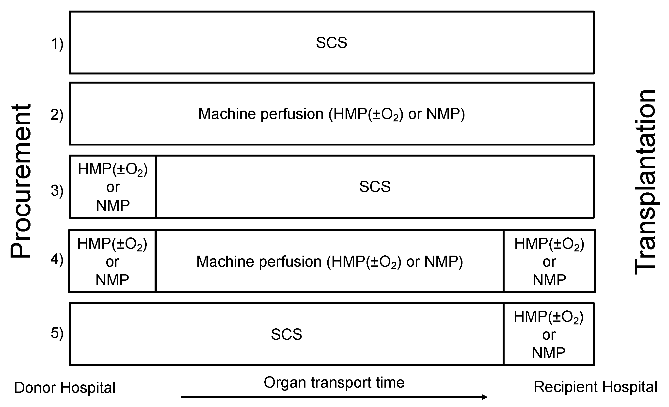 Biomedicines 09 00993 g004