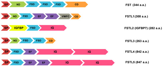Biomedicines 09 00999 g002