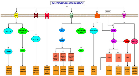 Biomedicines 09 00999 g003