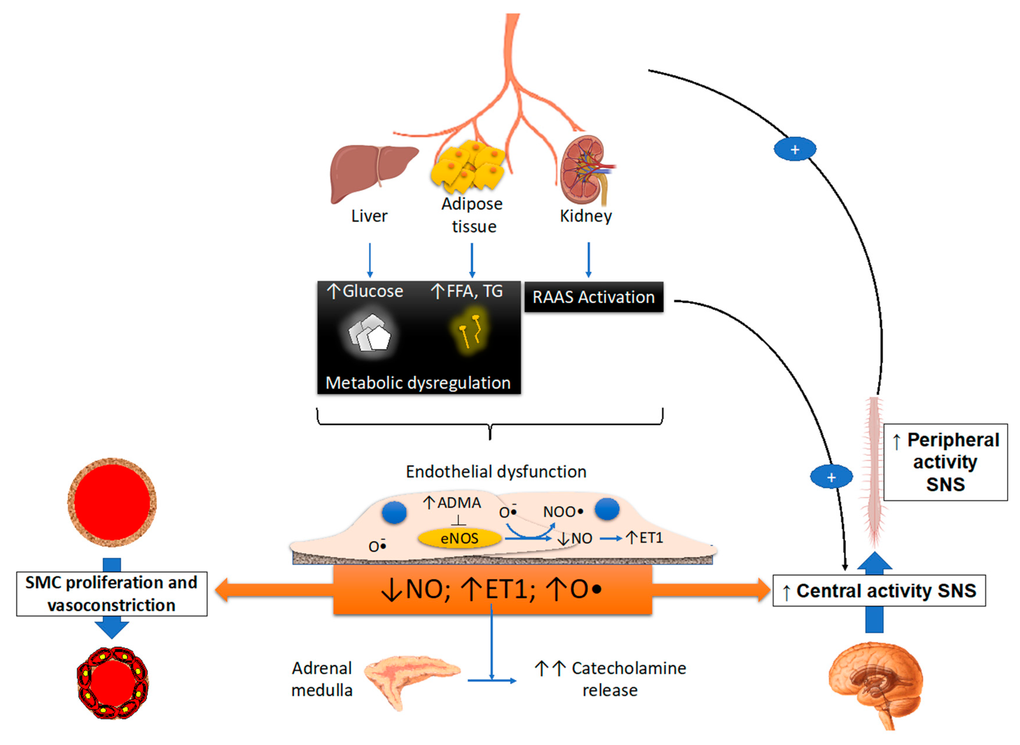 Biomedicines 09 01007 g001