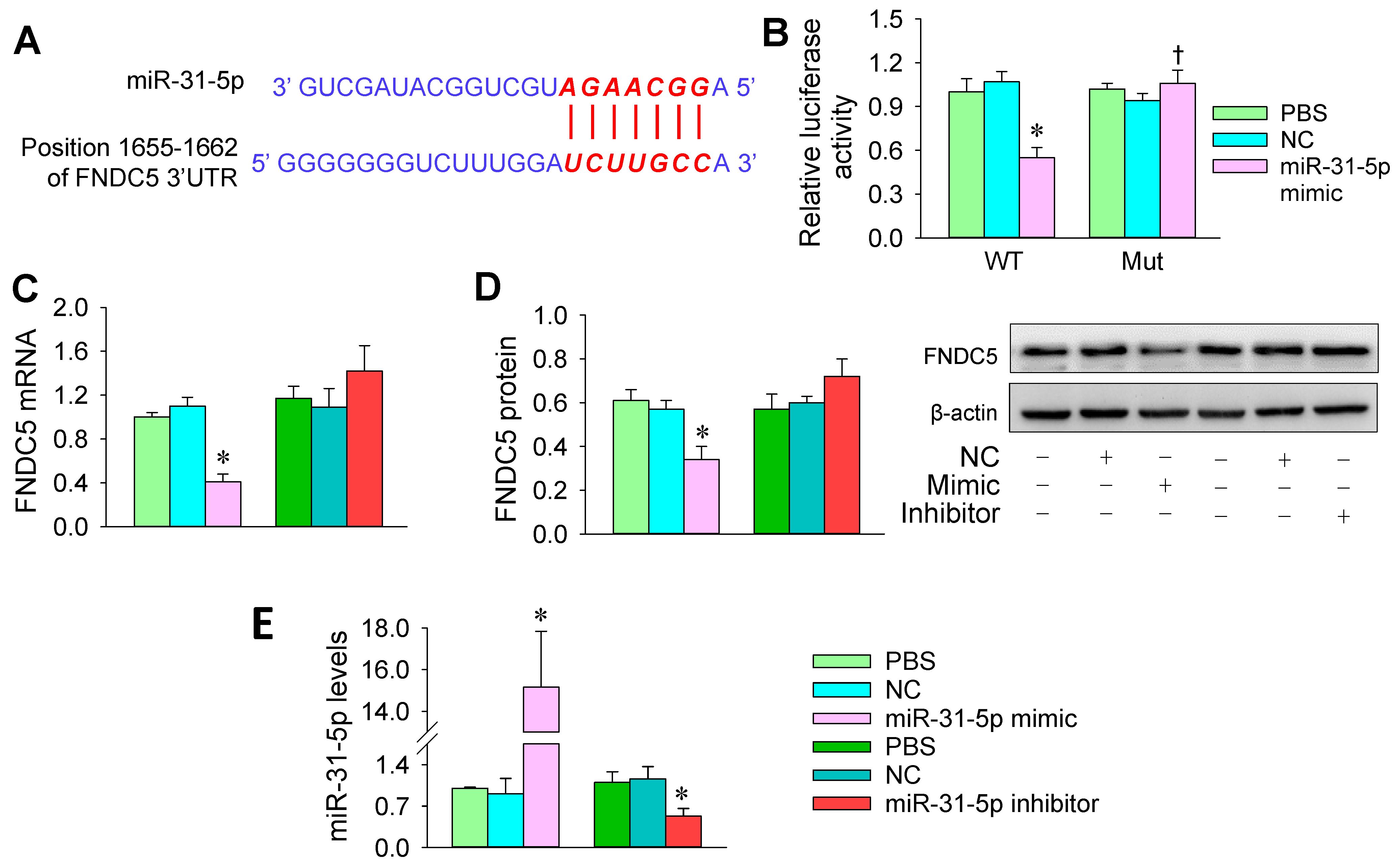 Biomedicines 09 01009 g005