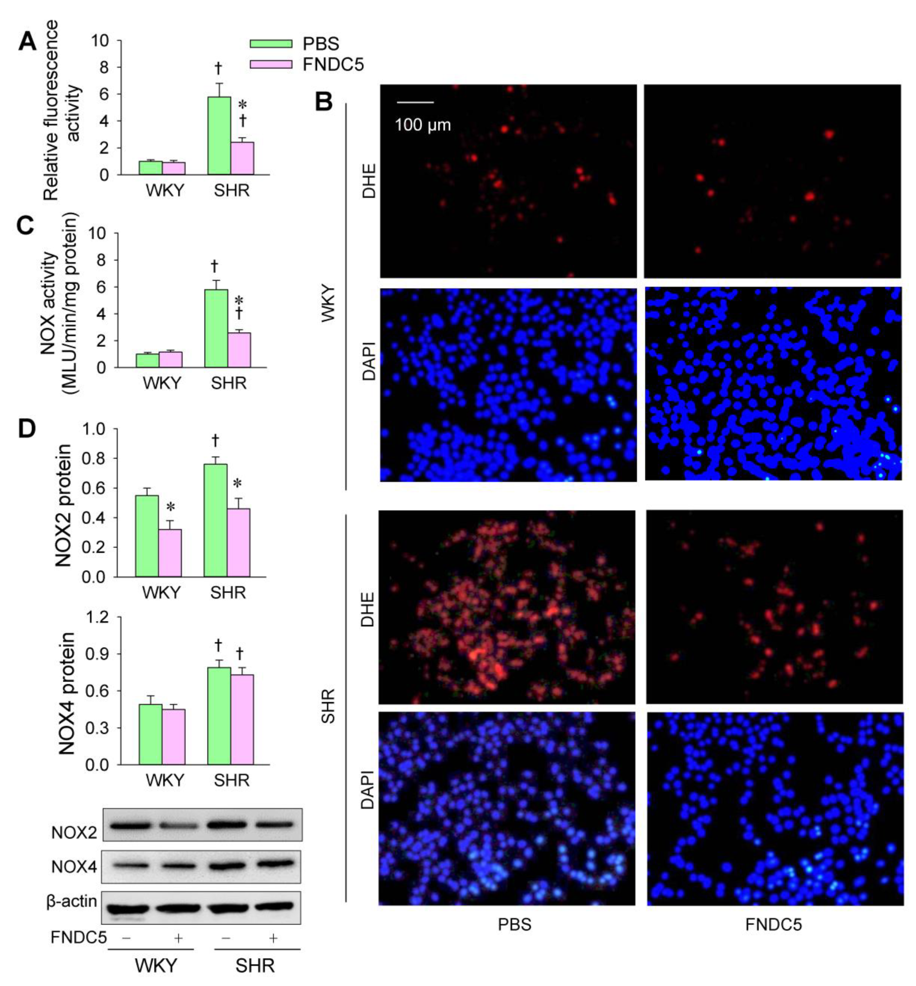 Biomedicines 09 01009 g007