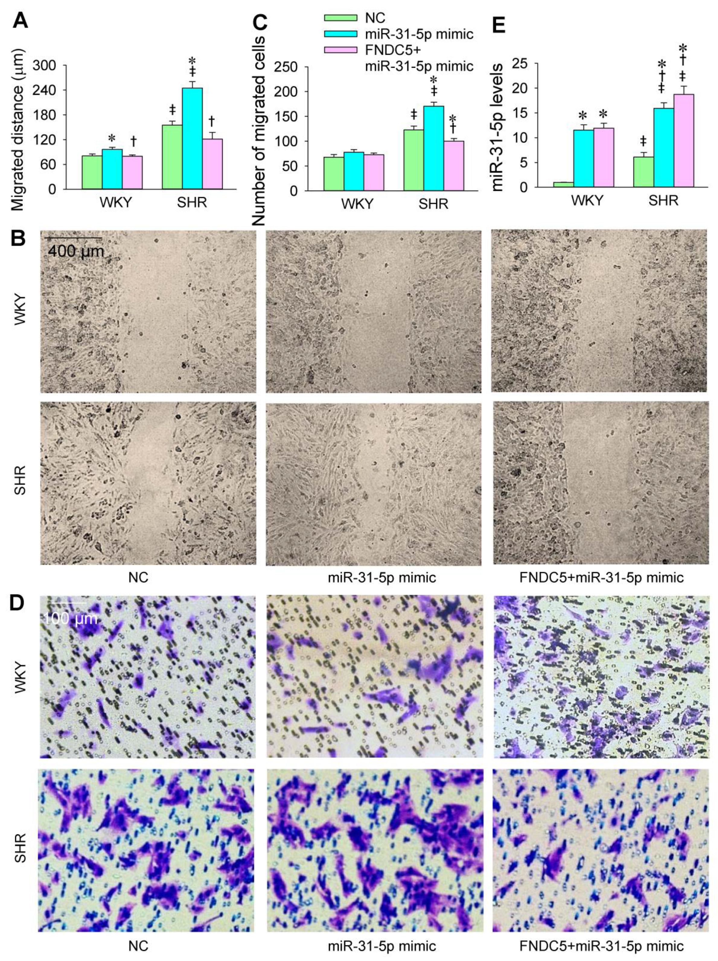 Biomedicines 09 01009 g010