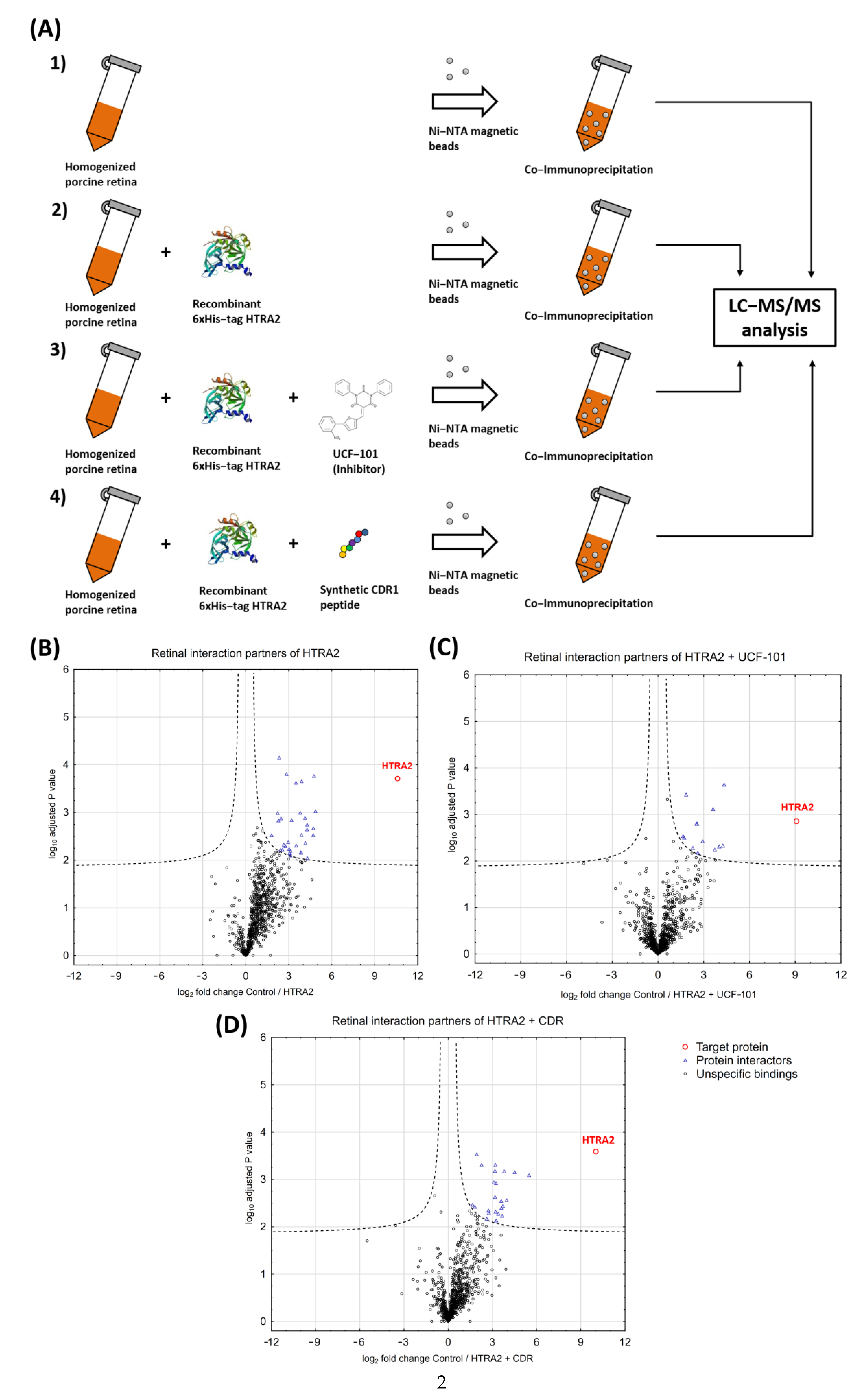 Biomedicines 09 01013 g002