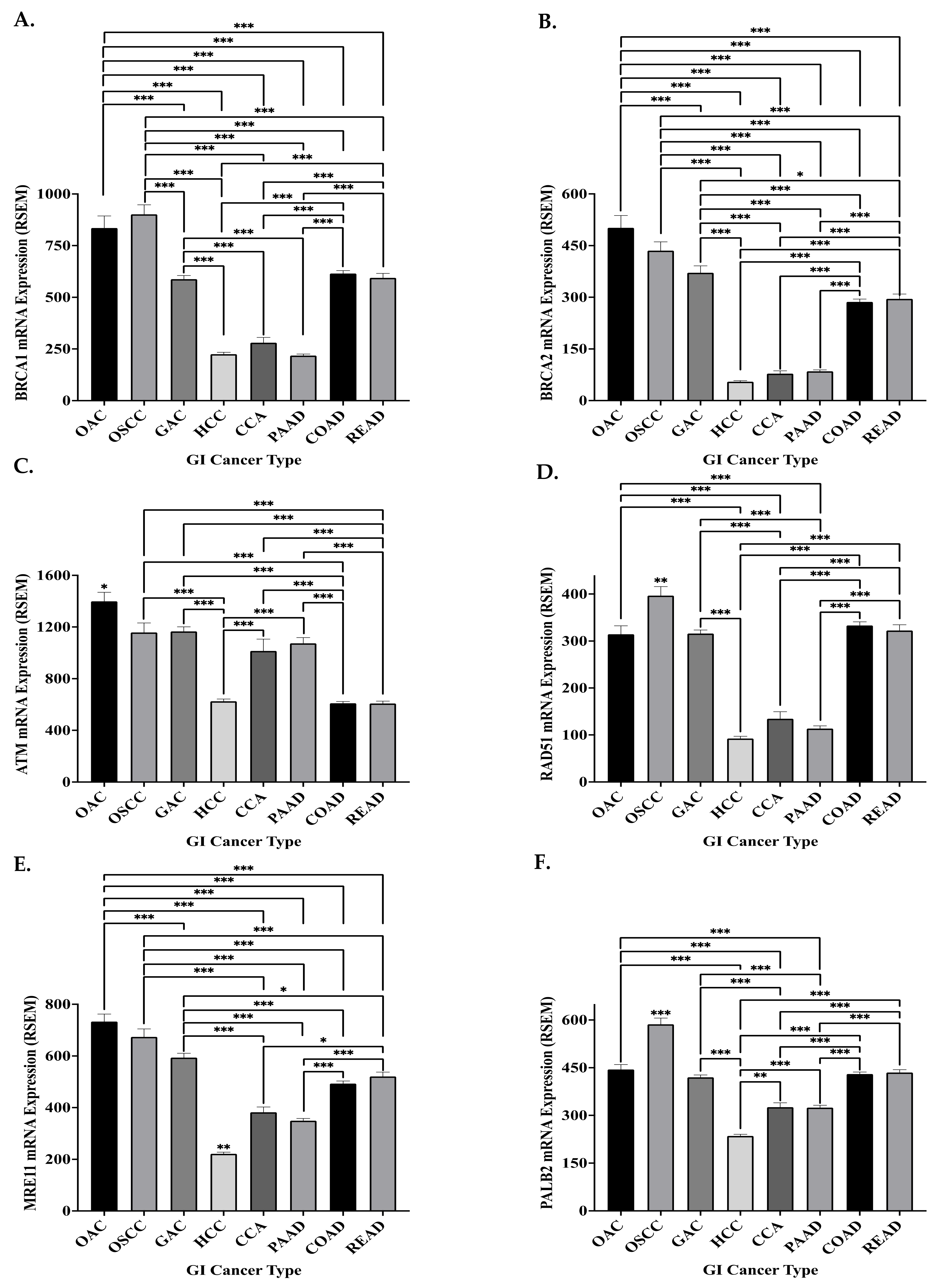 Biomedicines 09 01024 g004