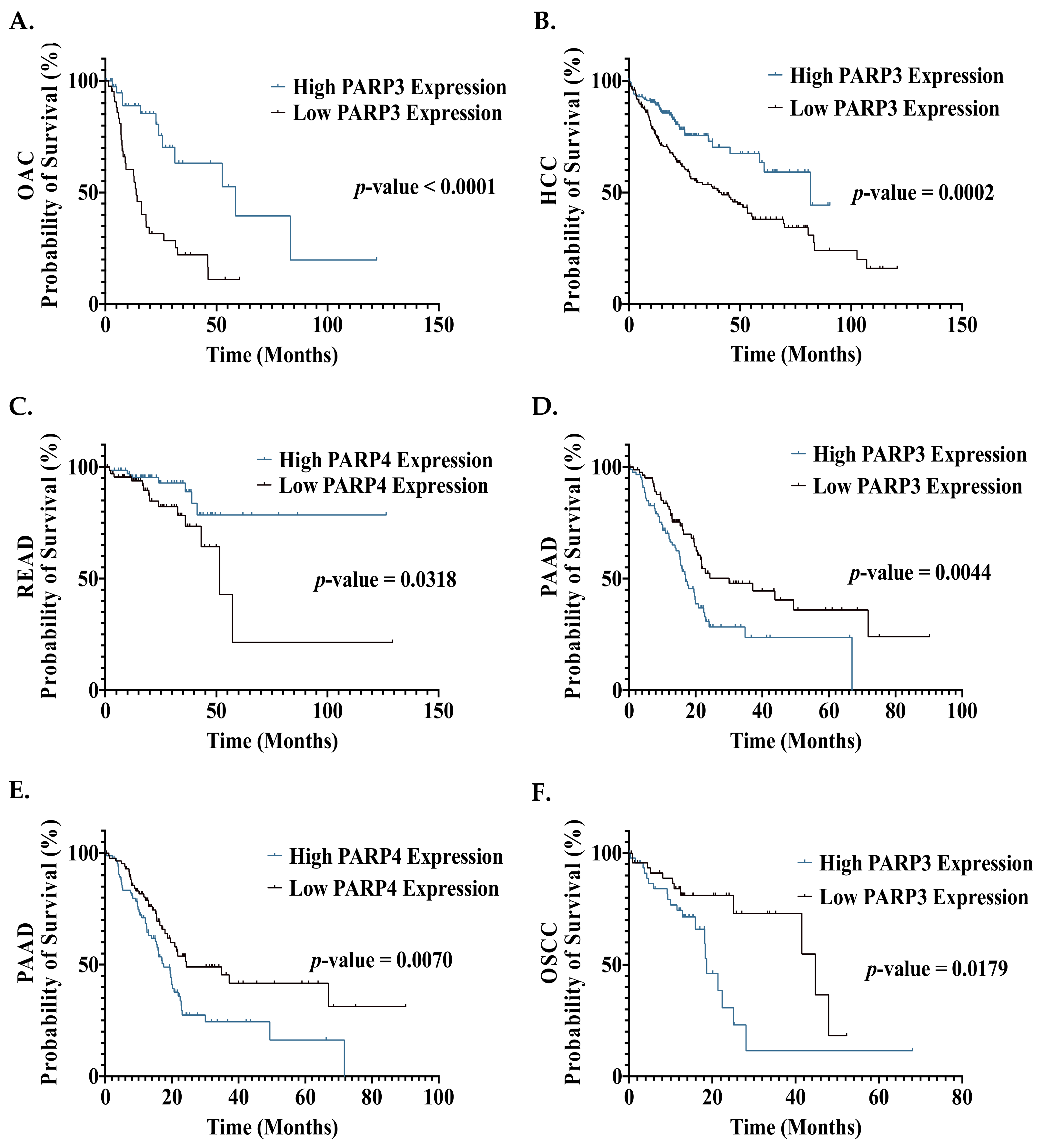 Biomedicines 09 01024 g005