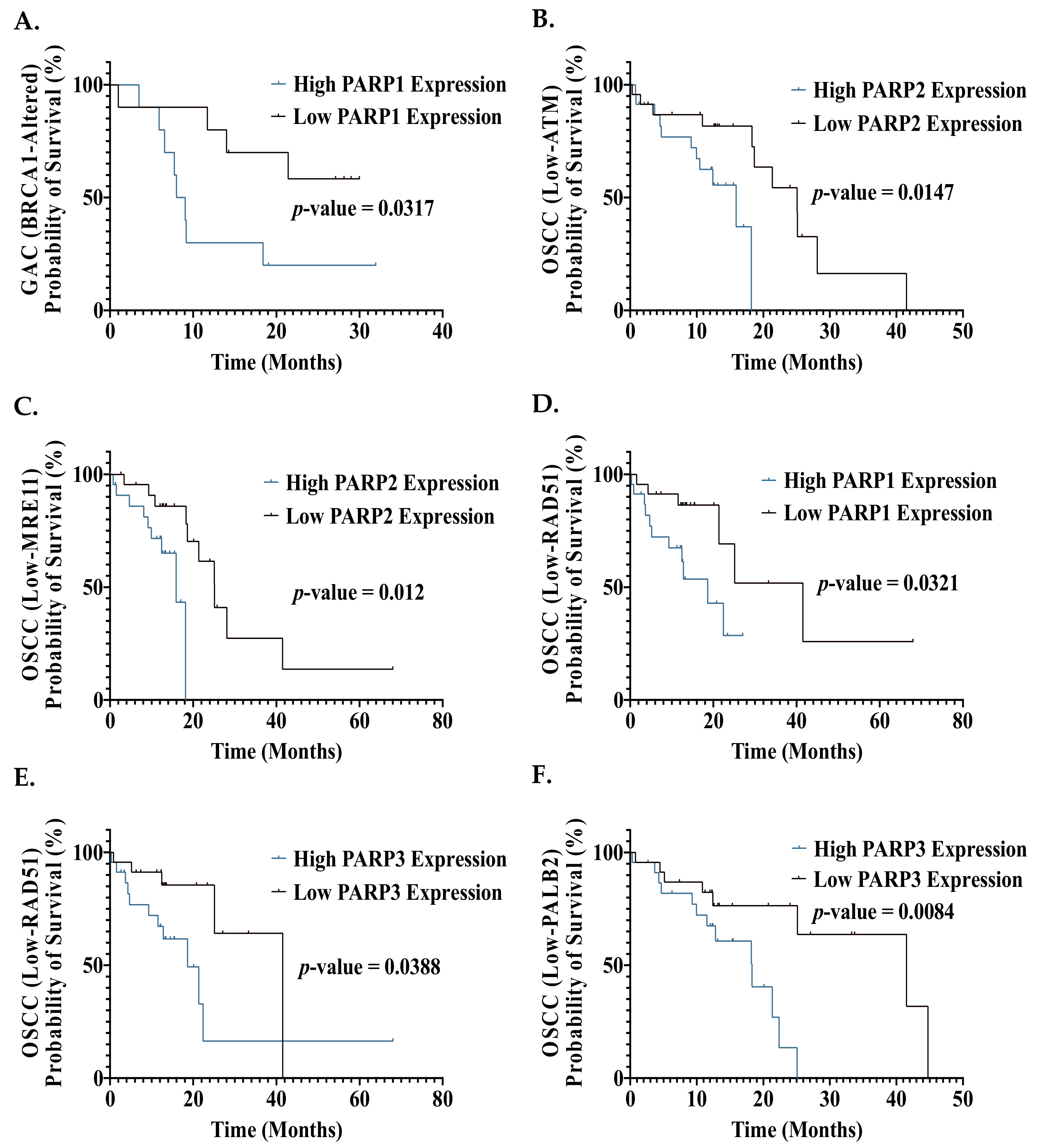 Biomedicines 09 01024 g006