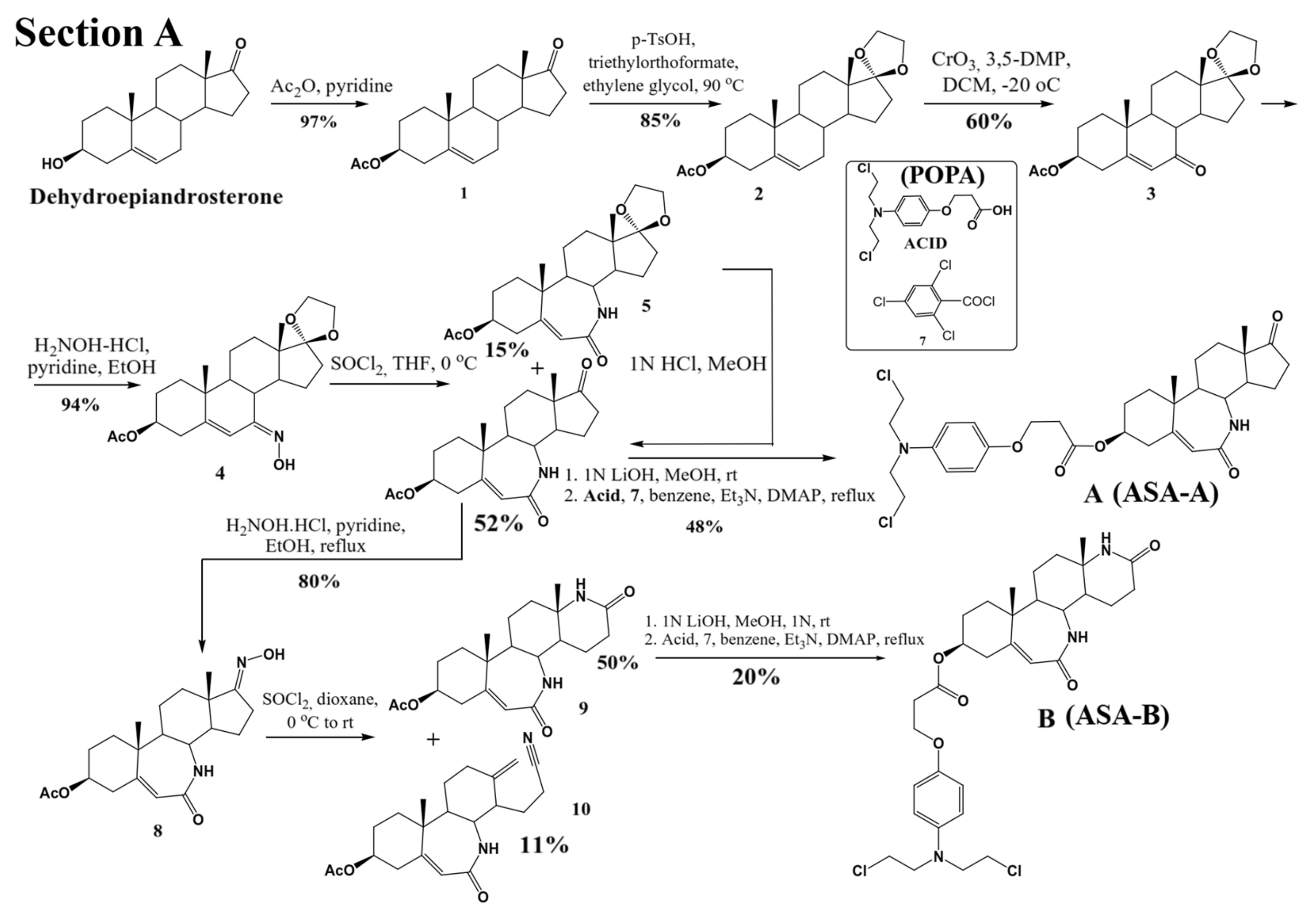Biomedicines 09 01028 g001a