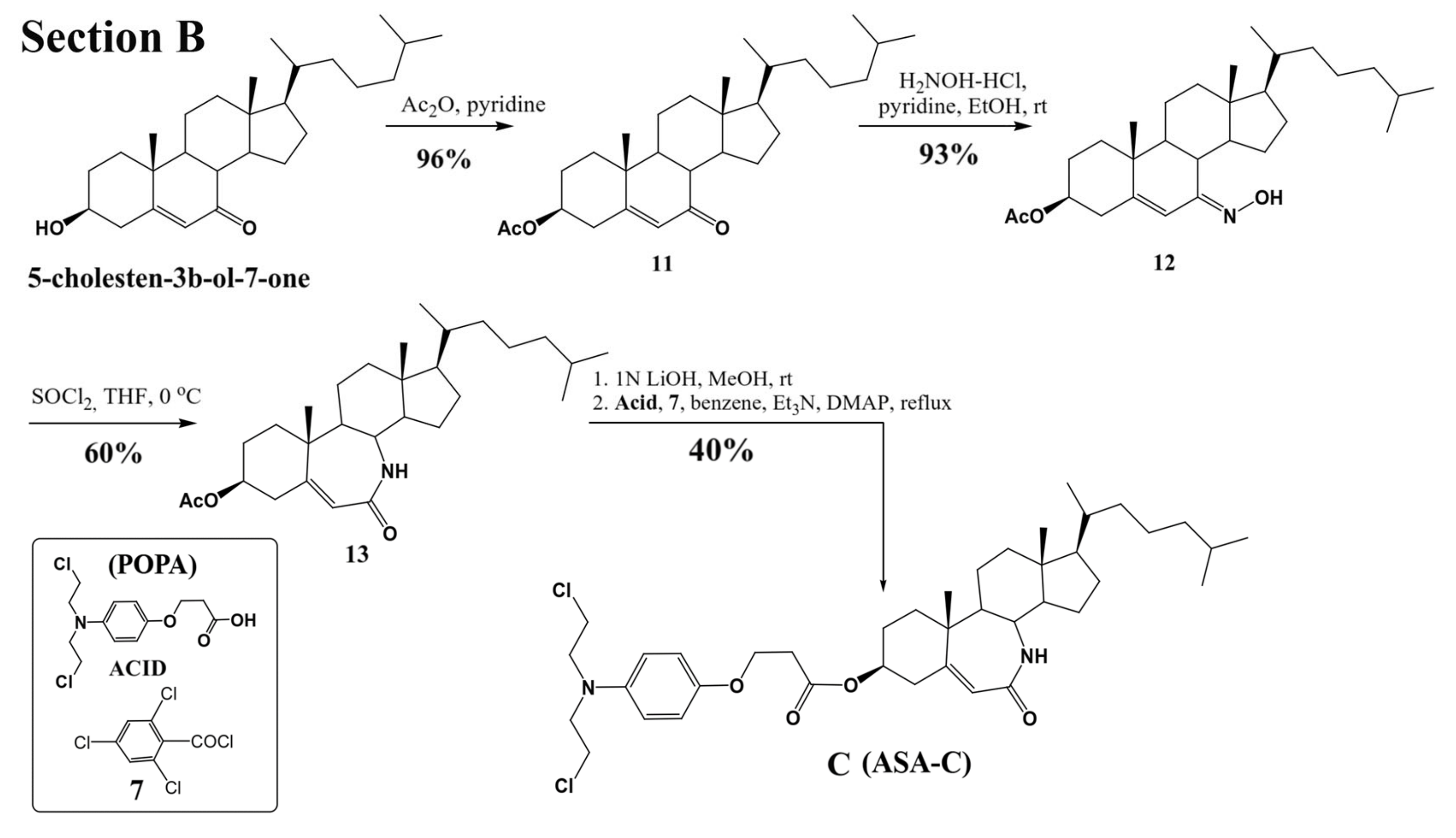 Biomedicines 09 01028 g001b