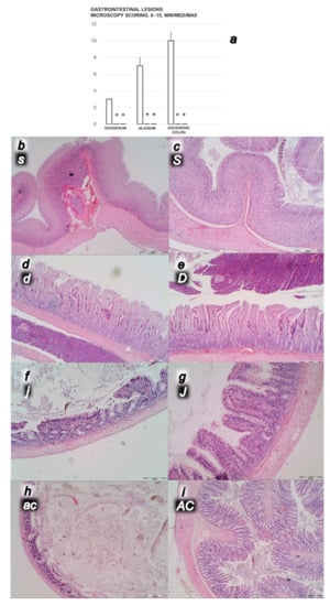 Biomedicines 09 01029 g006