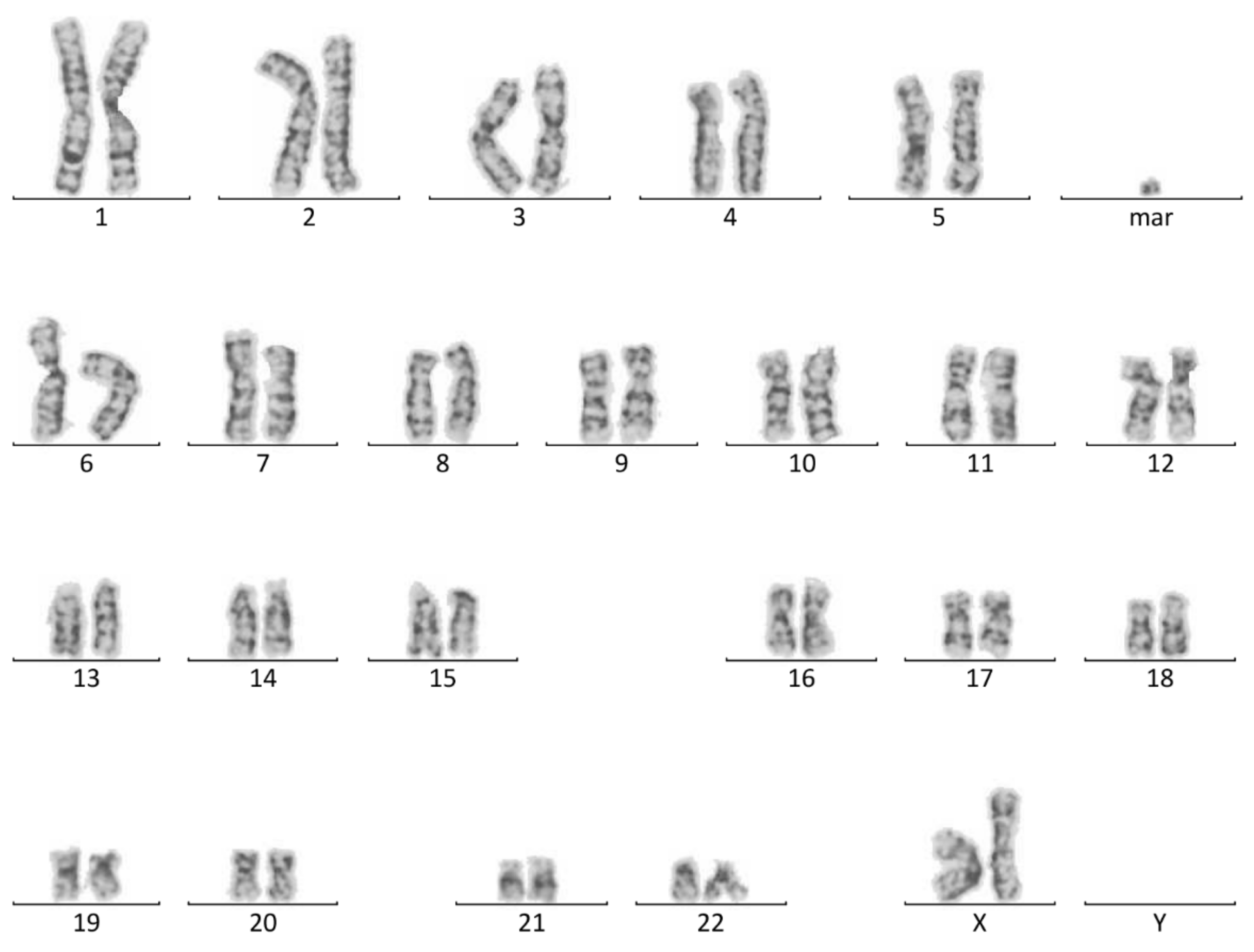 Biomedicines 09 01030 g001