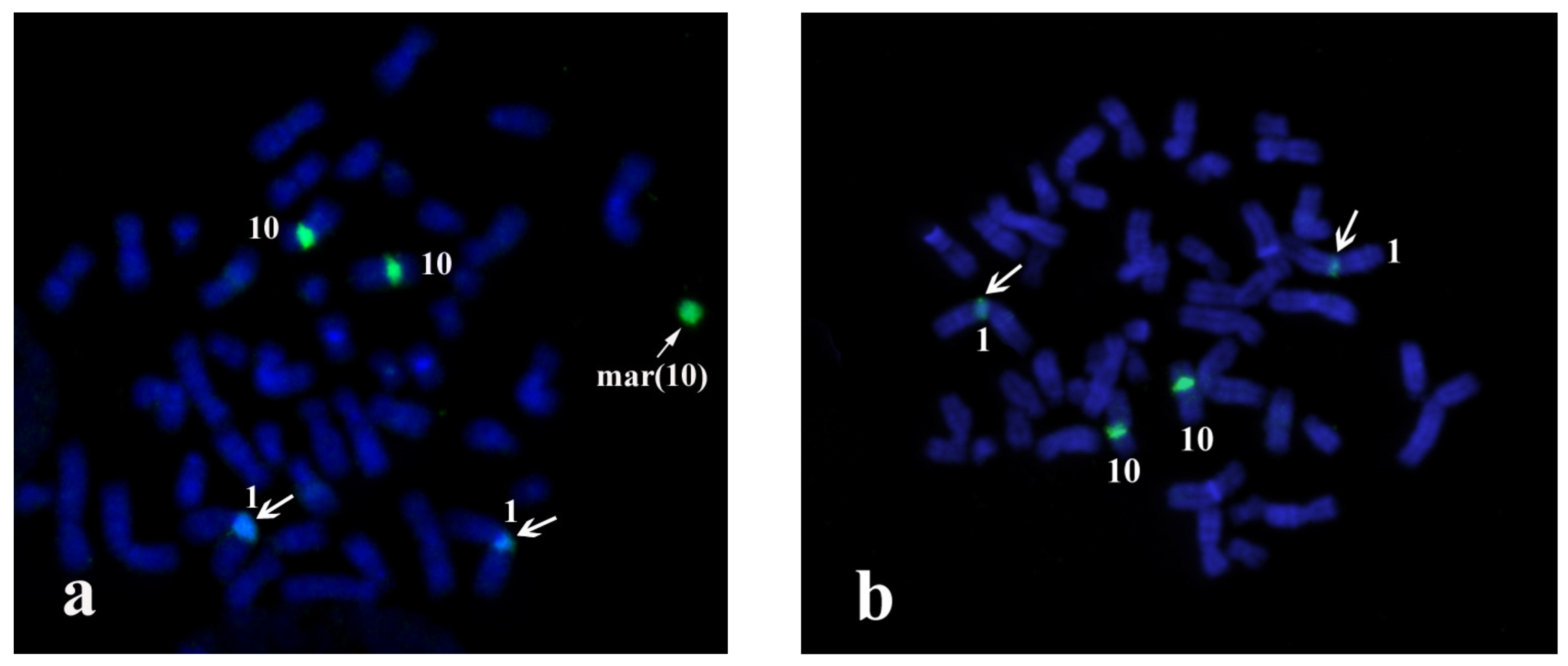 Biomedicines 09 01030 g002