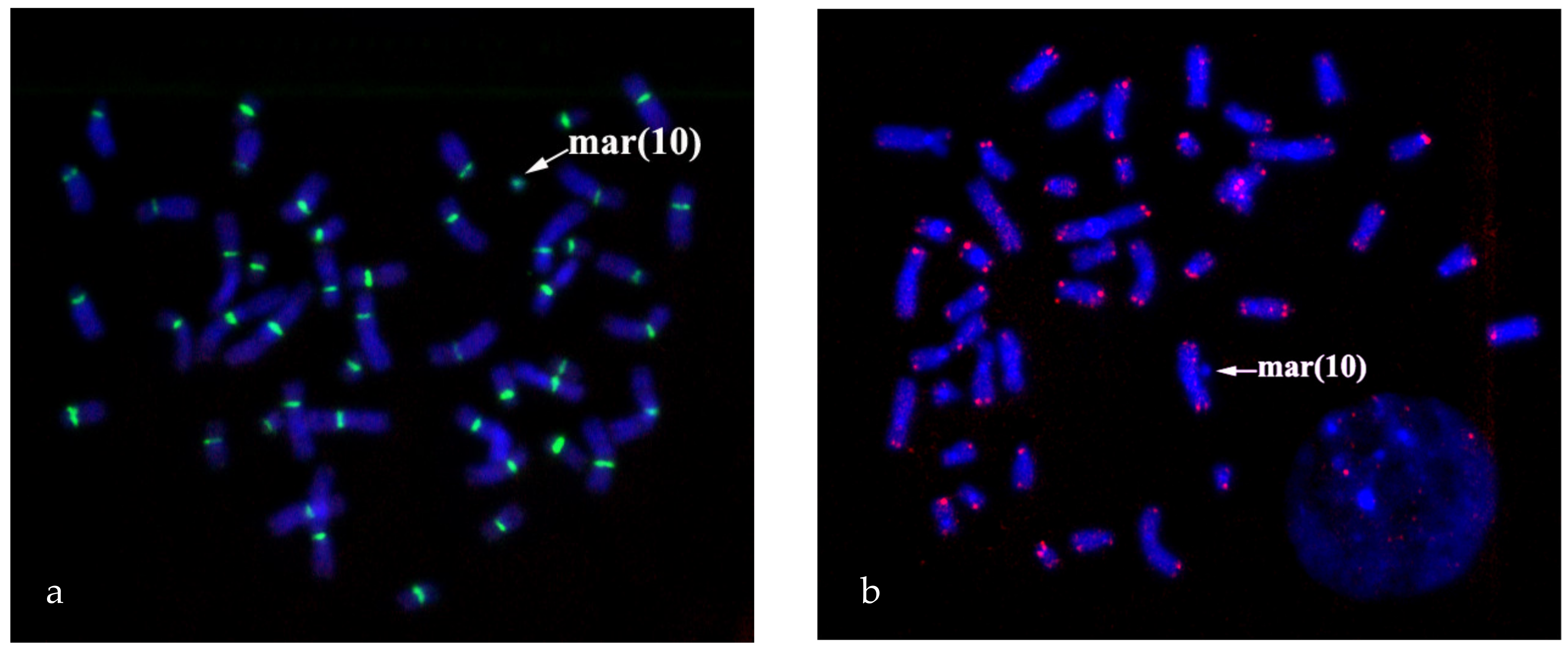 Biomedicines 09 01030 g005
