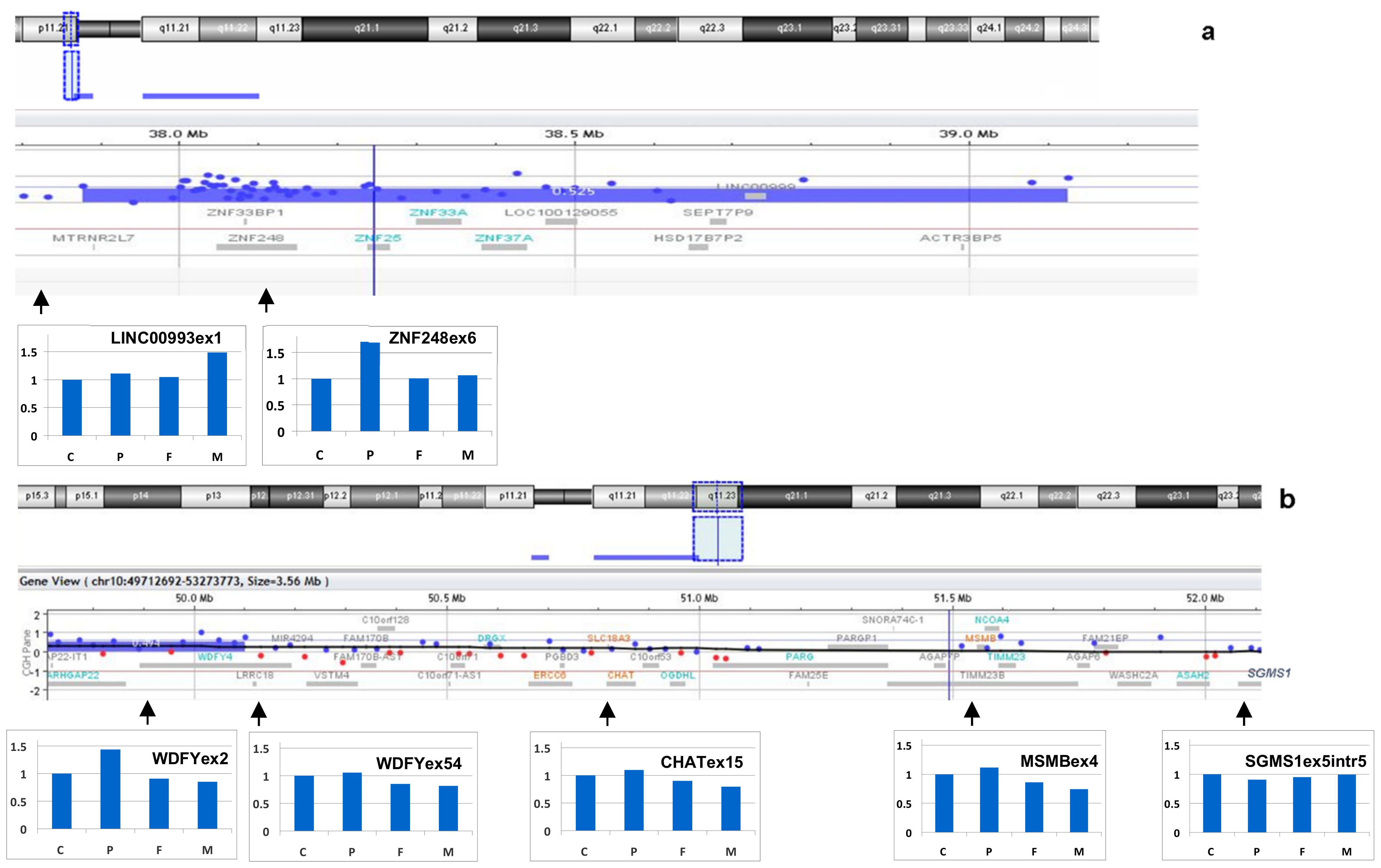 Biomedicines 09 01030 g008