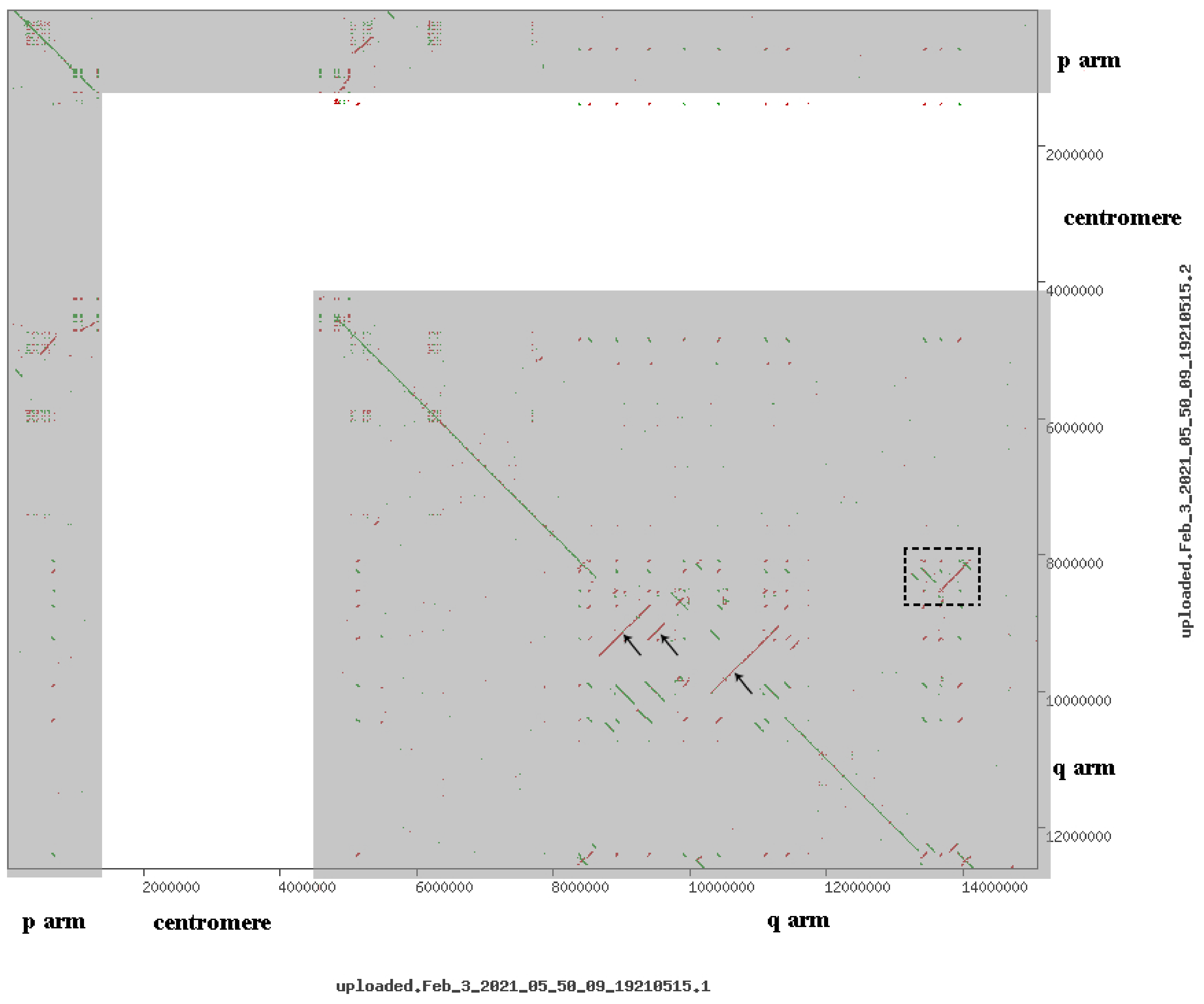 Biomedicines 09 01030 g011