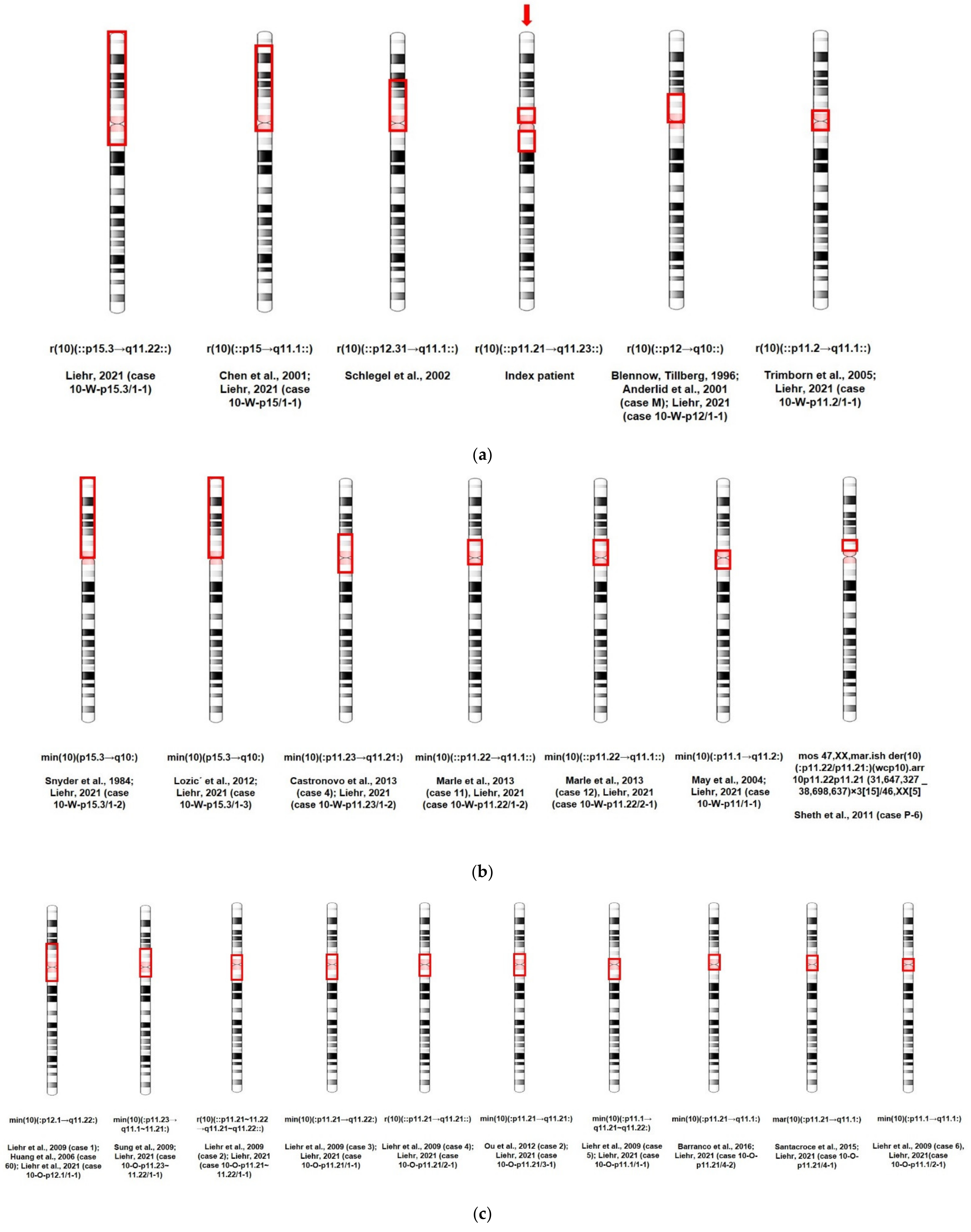 Biomedicines 09 01030 g013