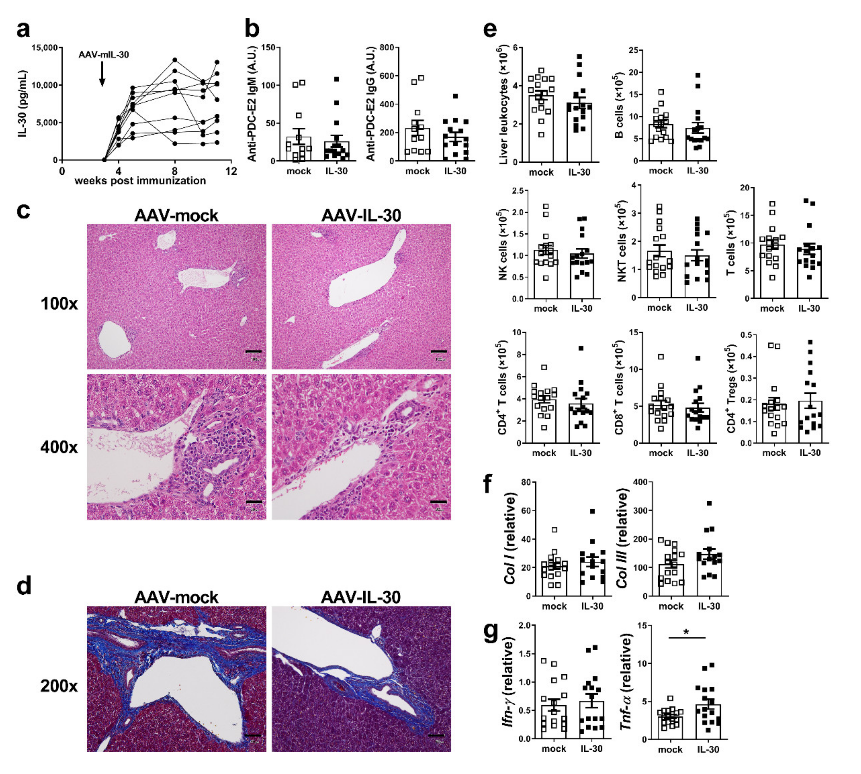 Biomedicines 09 01031 g005