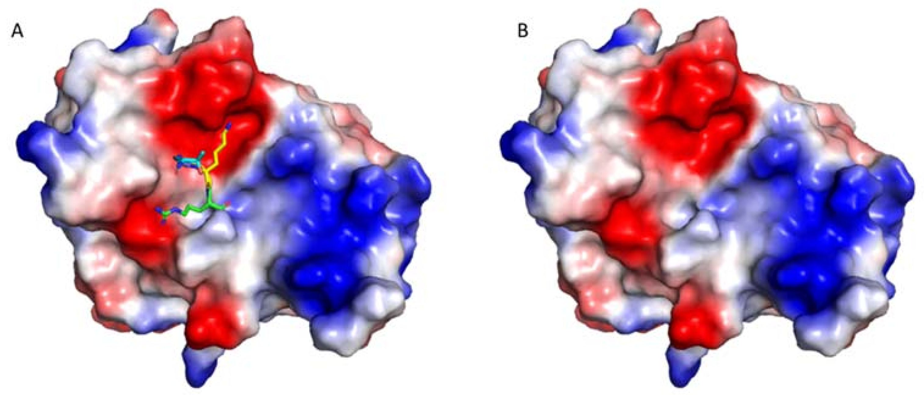 Biomedicines 09 01044 g003