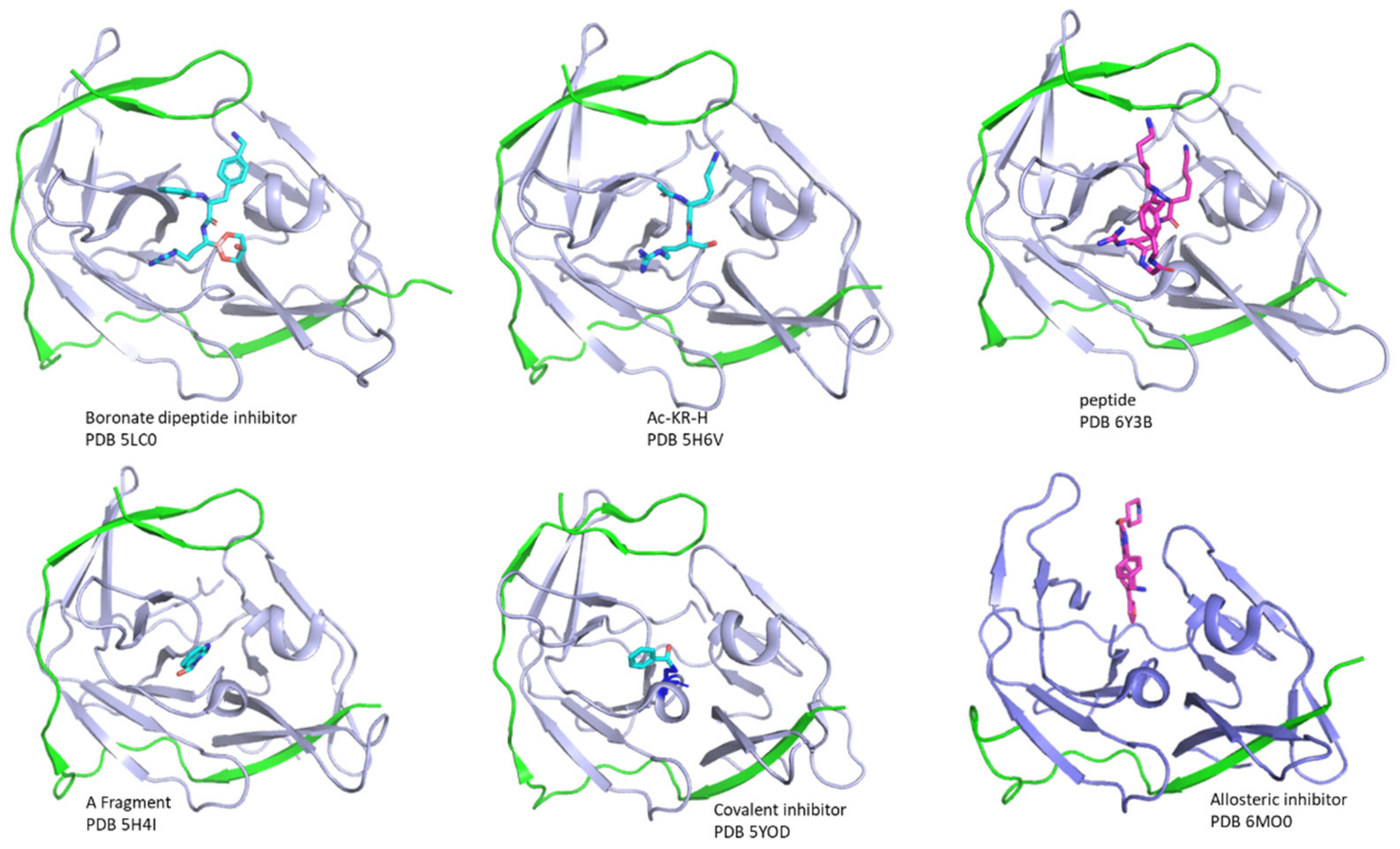 Biomedicines 09 01044 g005