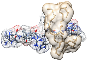 Biomedicines 09 01063 i002