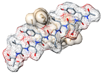 Biomedicines 09 01063 i003