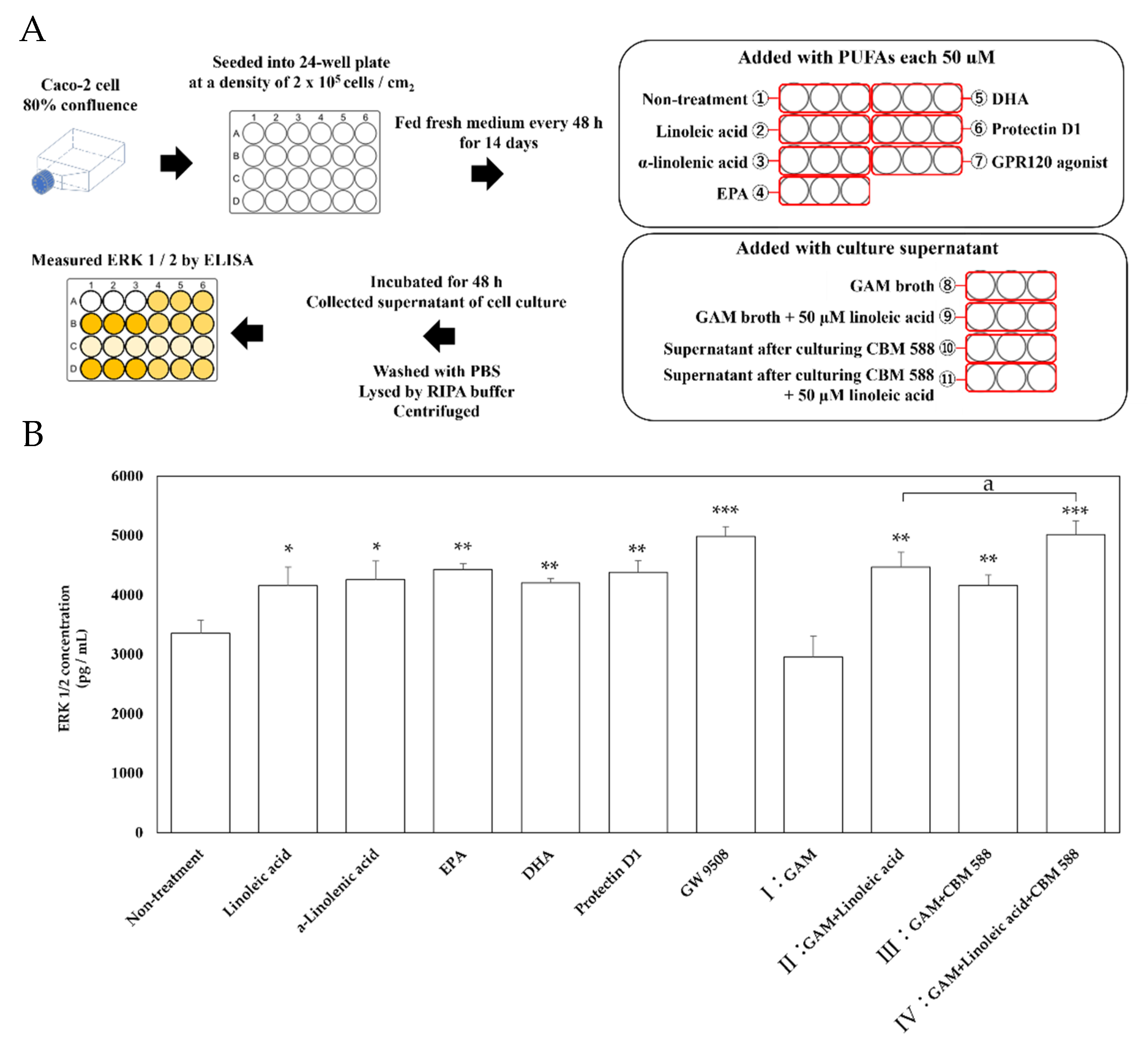 Biomedicines 09 01065 g005