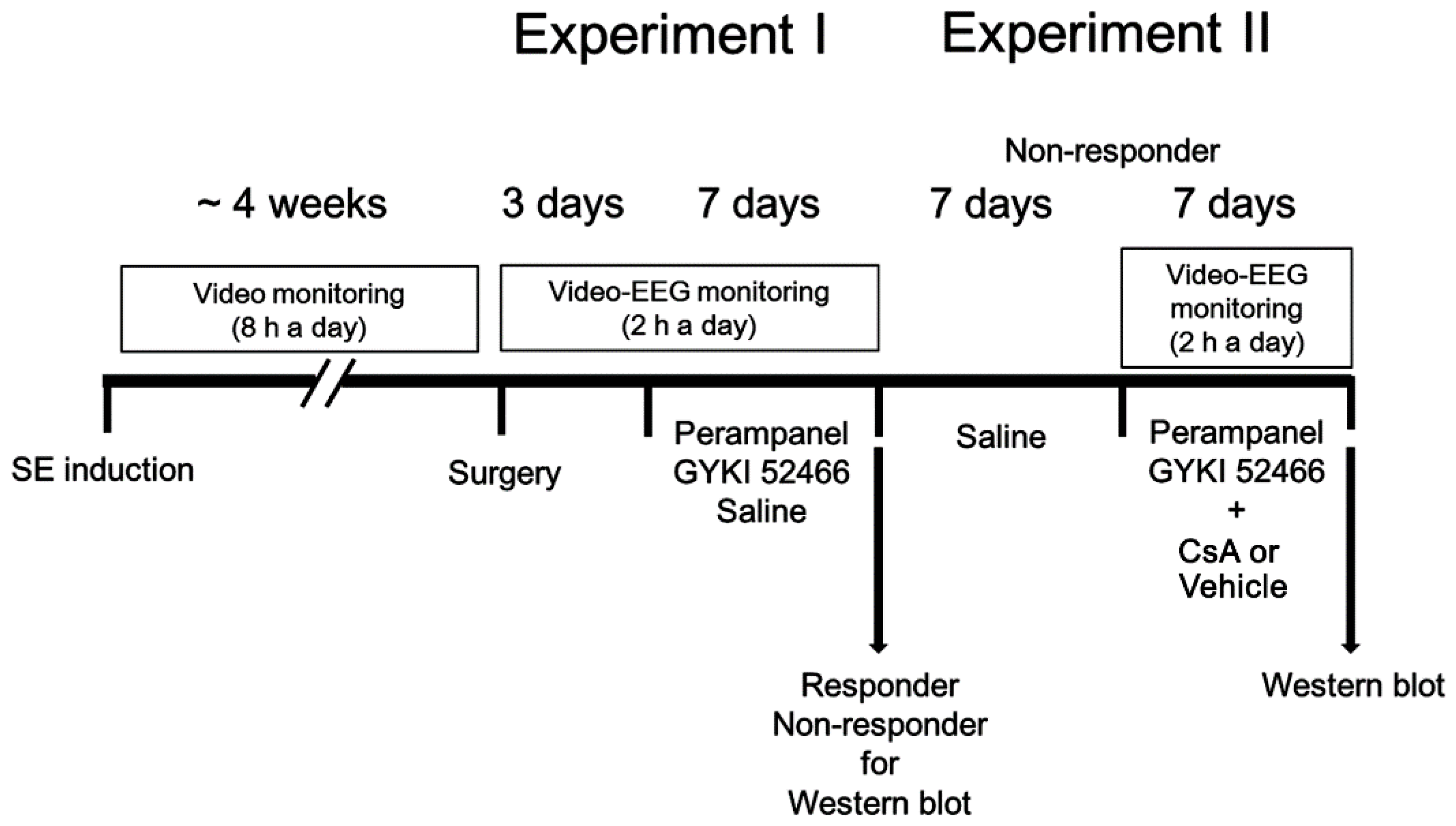 Biomedicines 09 01069 g001