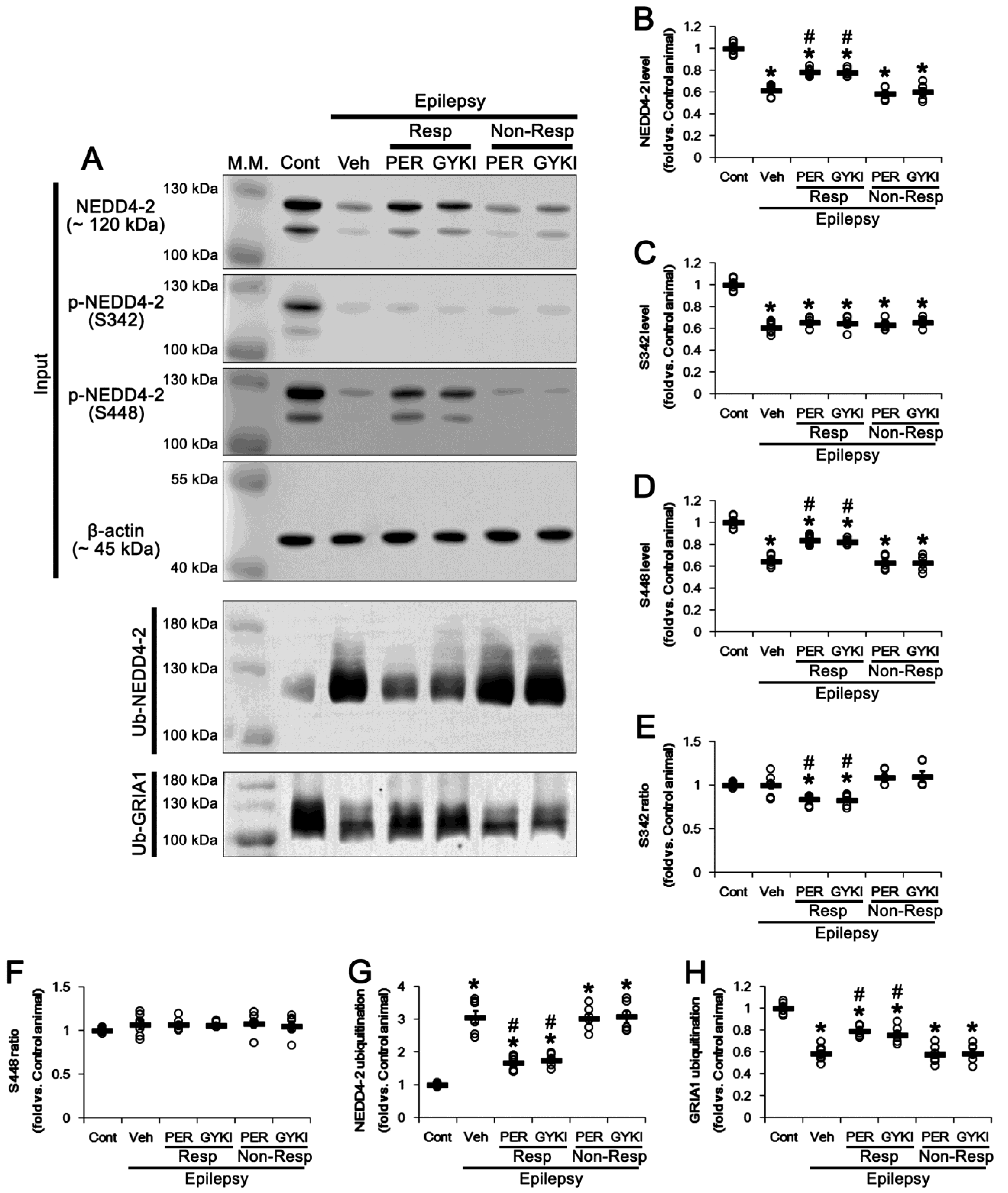 Biomedicines 09 01069 g003