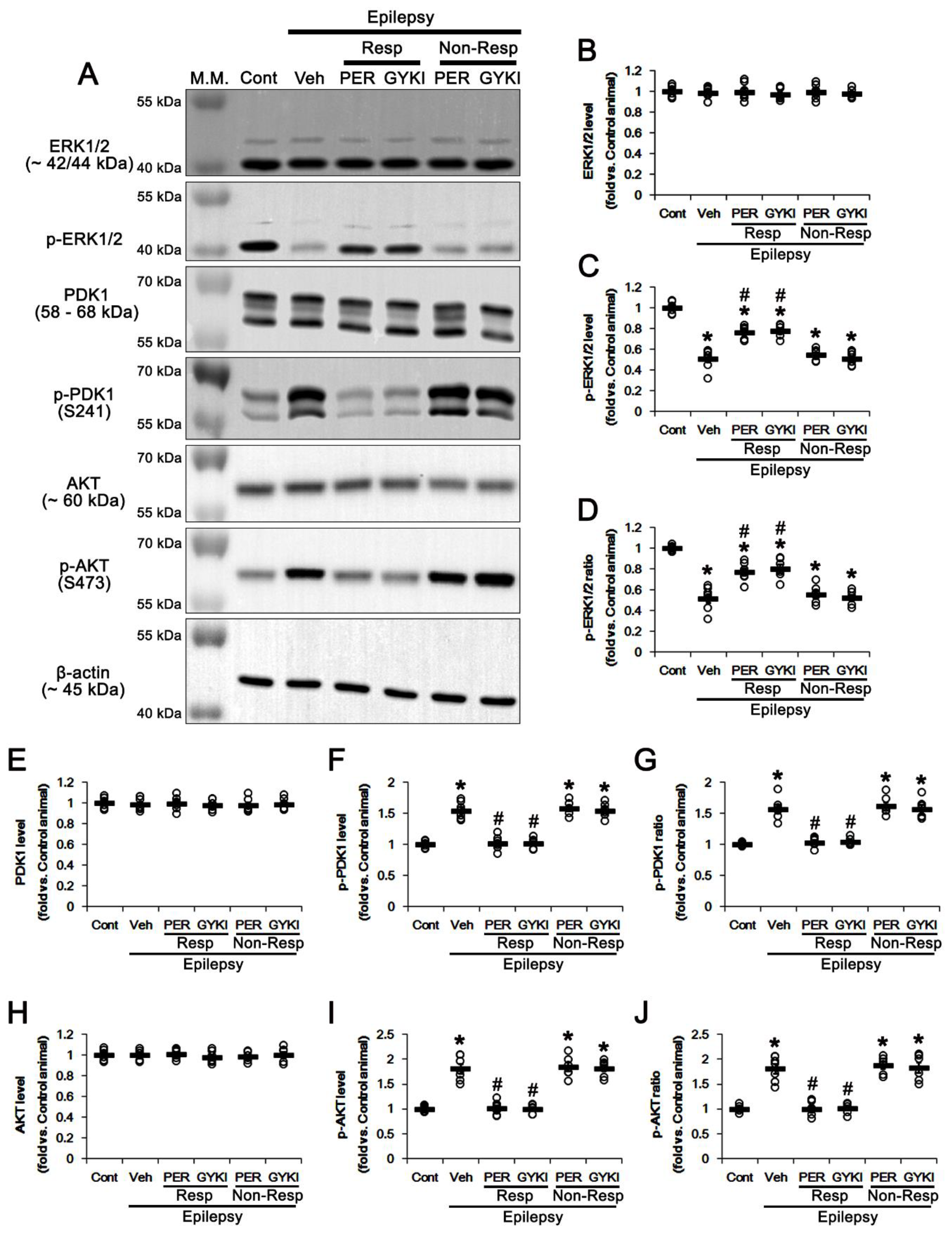 Biomedicines 09 01069 g005