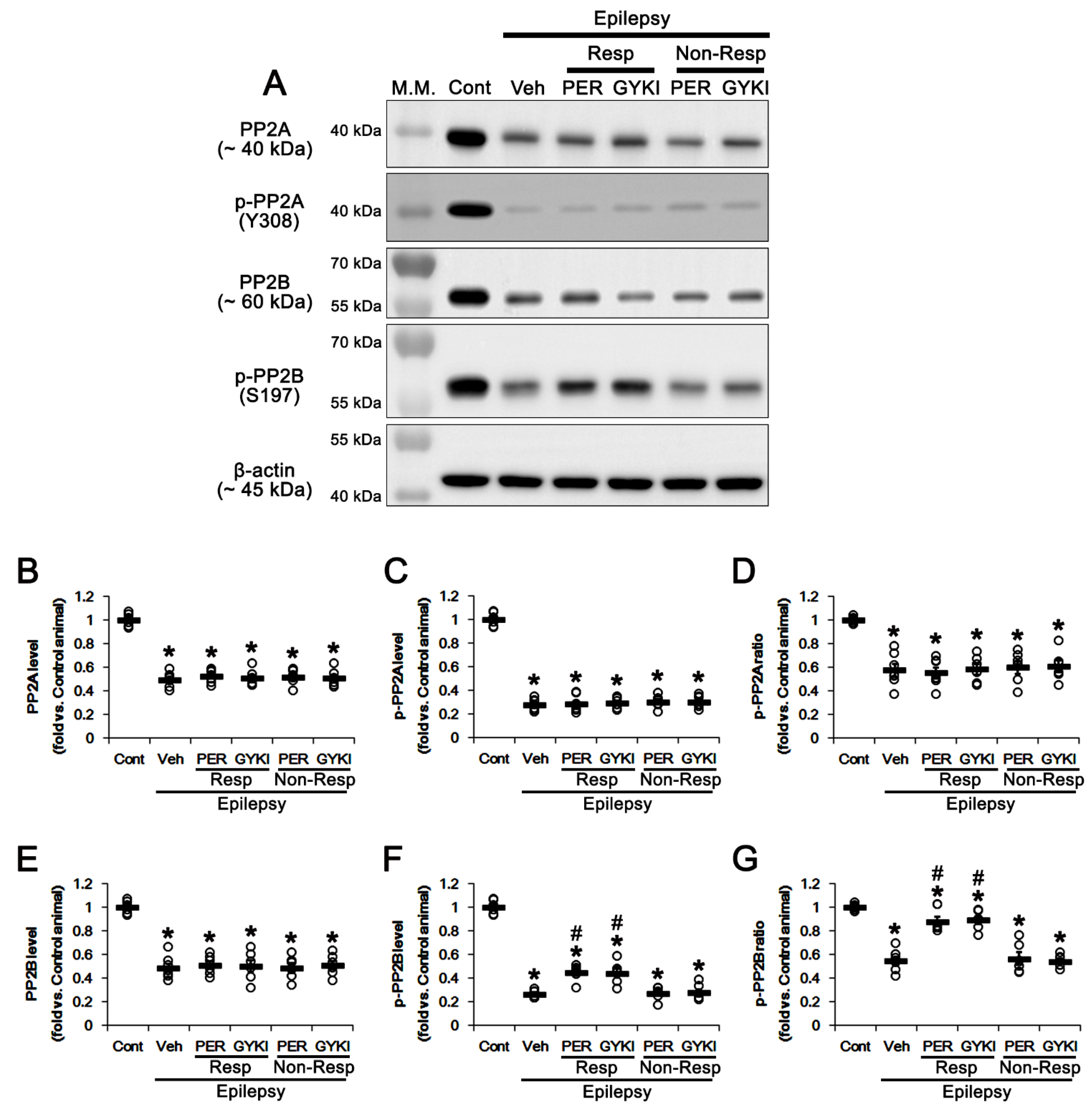 Biomedicines 09 01069 g006