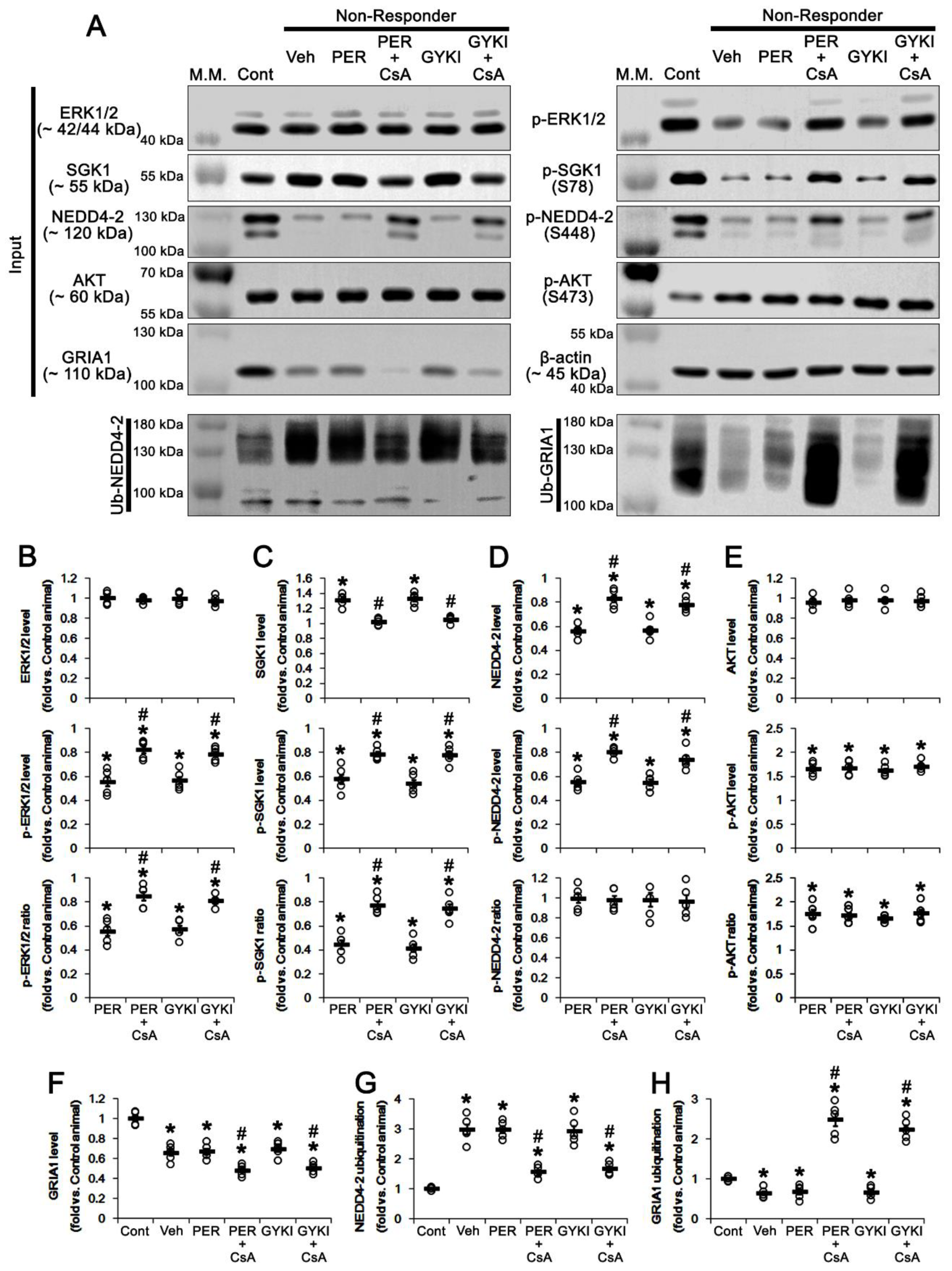 Biomedicines 09 01069 g008