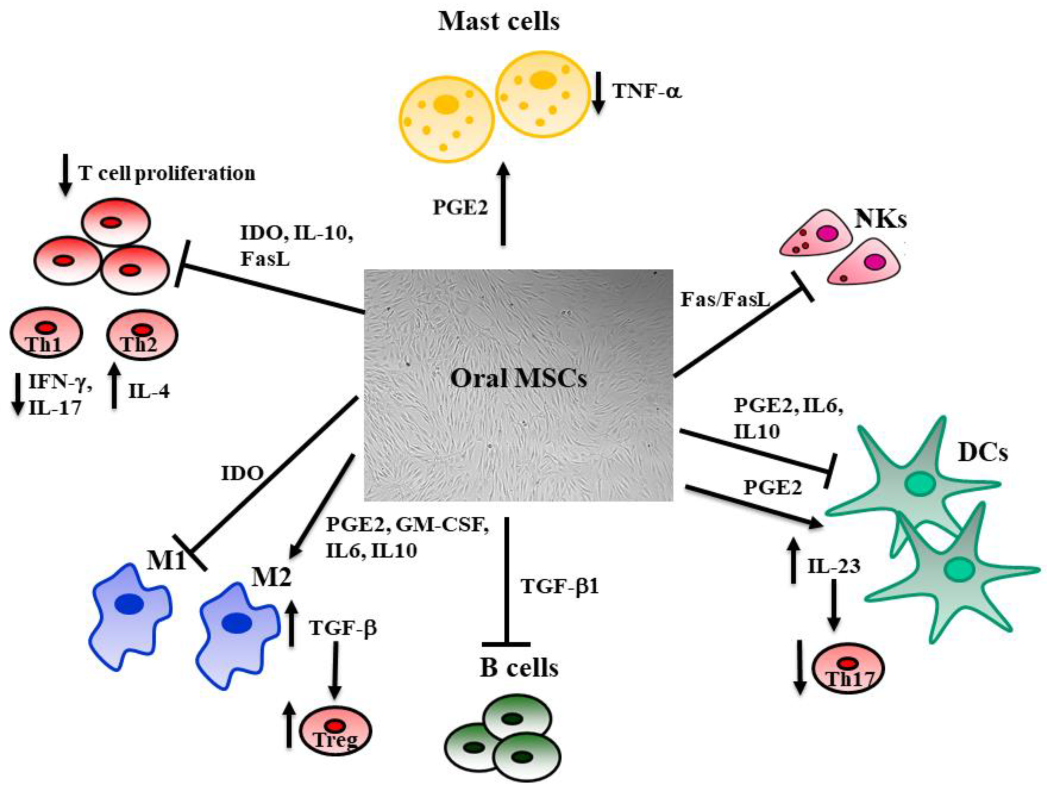 Biomedicines 09 01085 g002 Biomedicines 09 01085 g002
