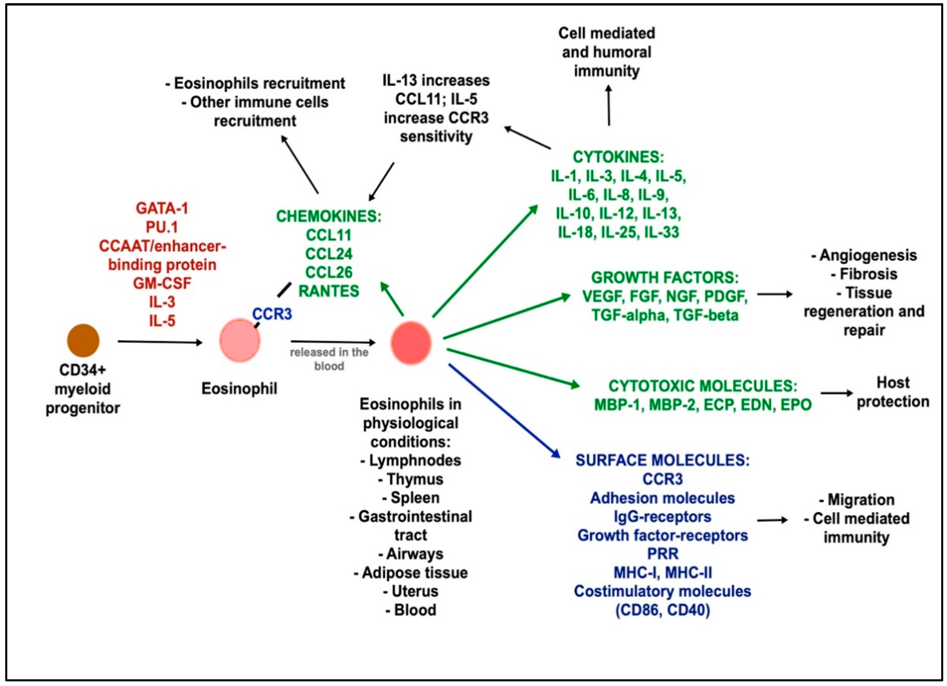 Biomedicines 09 01087 g001