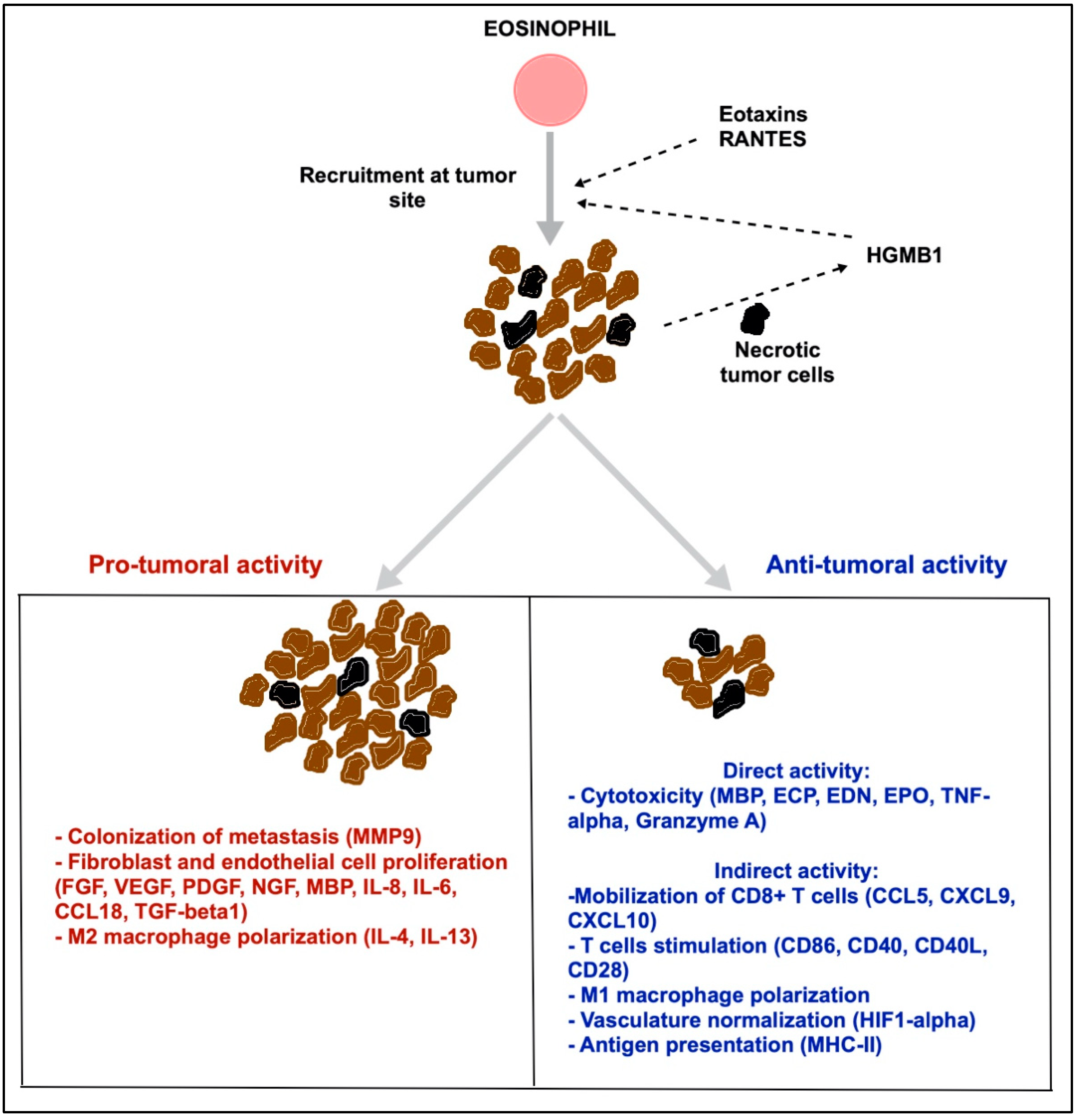Biomedicines 09 01087 g002