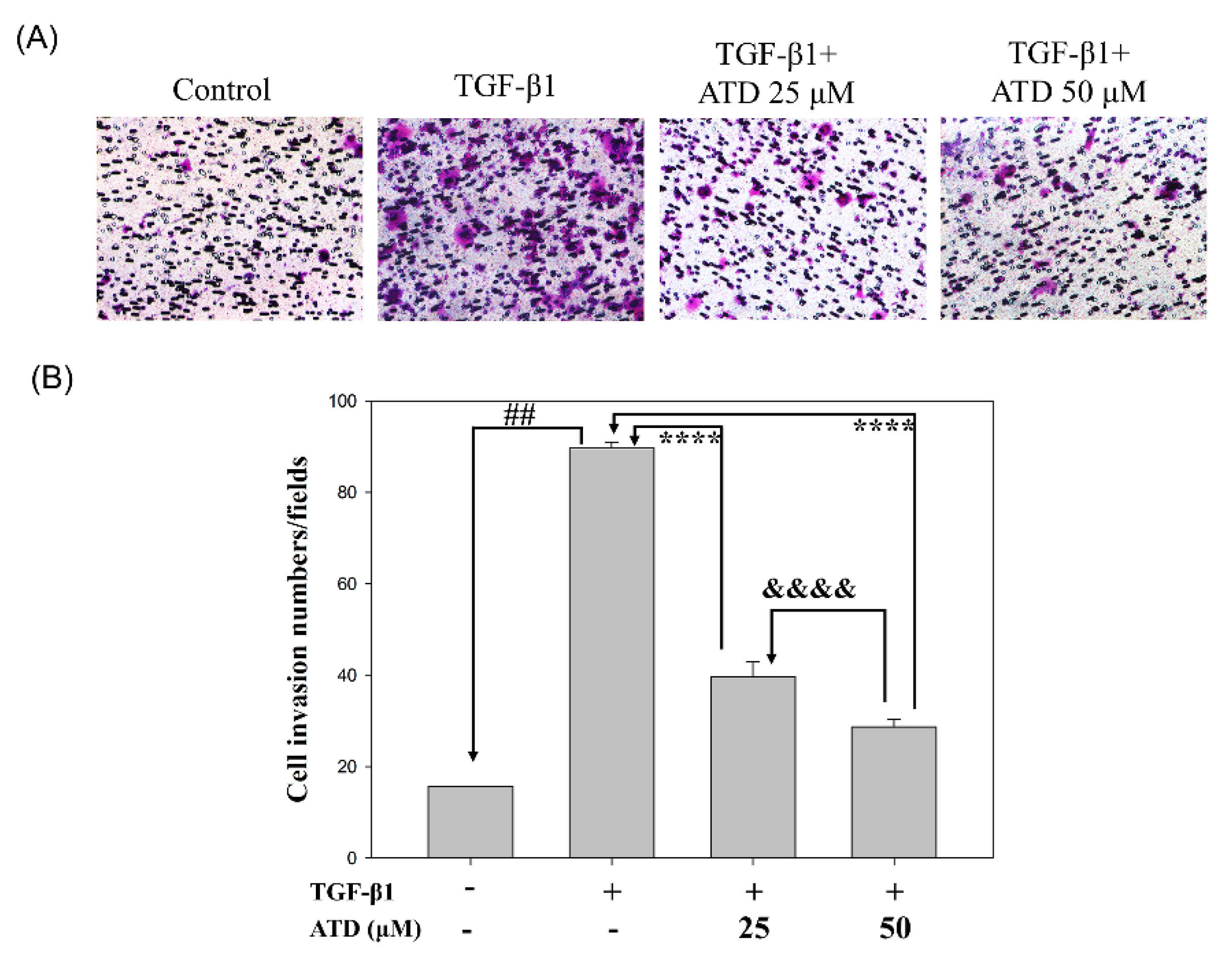 Biomedicines 09 01110 g004 Biomedicines 09 01110 g004