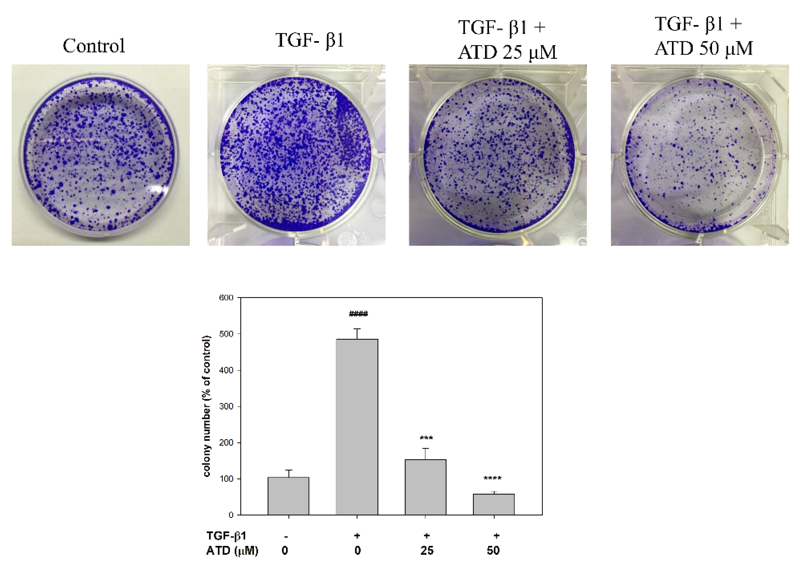 Biomedicines 09 01110 g005 Biomedicines 09 01110 g005