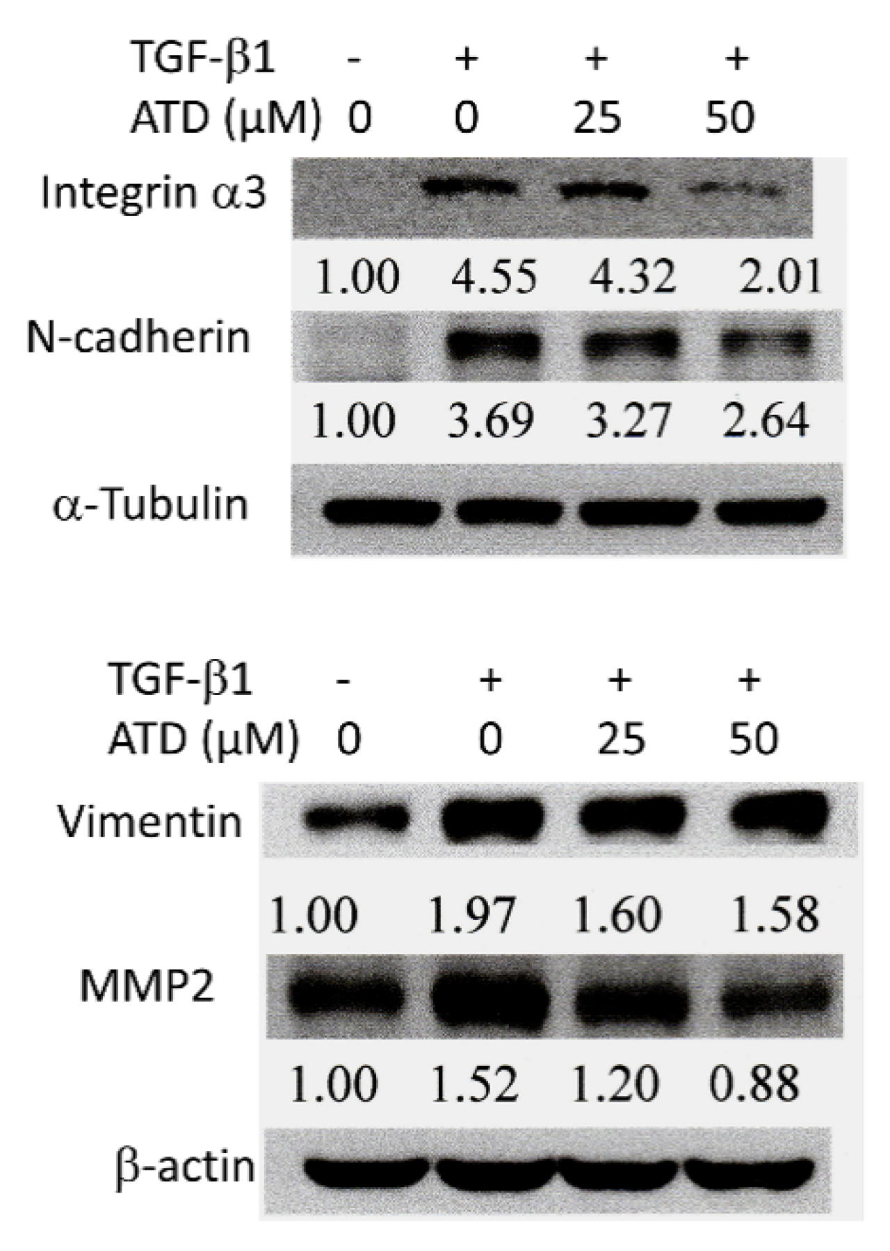 Biomedicines 09 01110 g007 Biomedicines 09 01110 g007