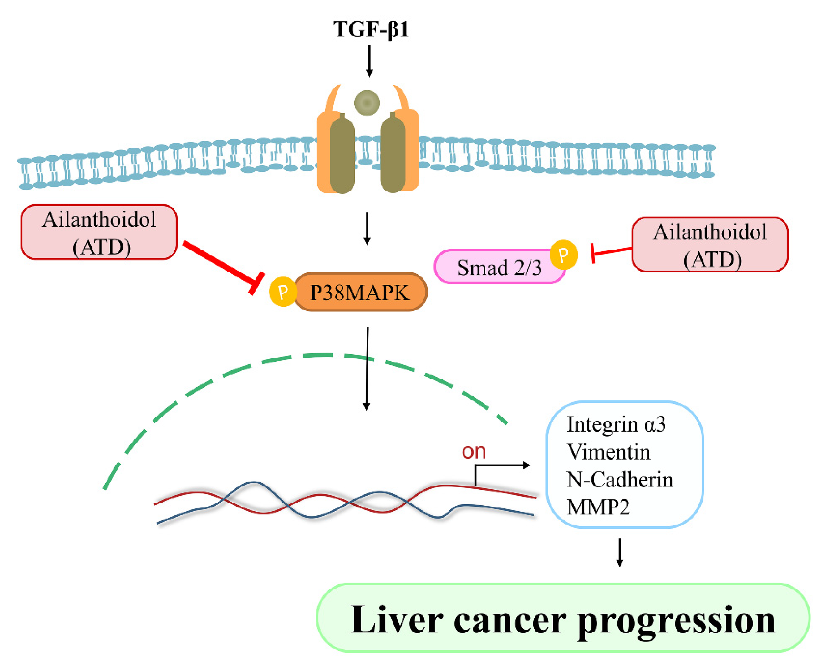 Biomedicines 09 01110 g009 Biomedicines 09 01110 g009