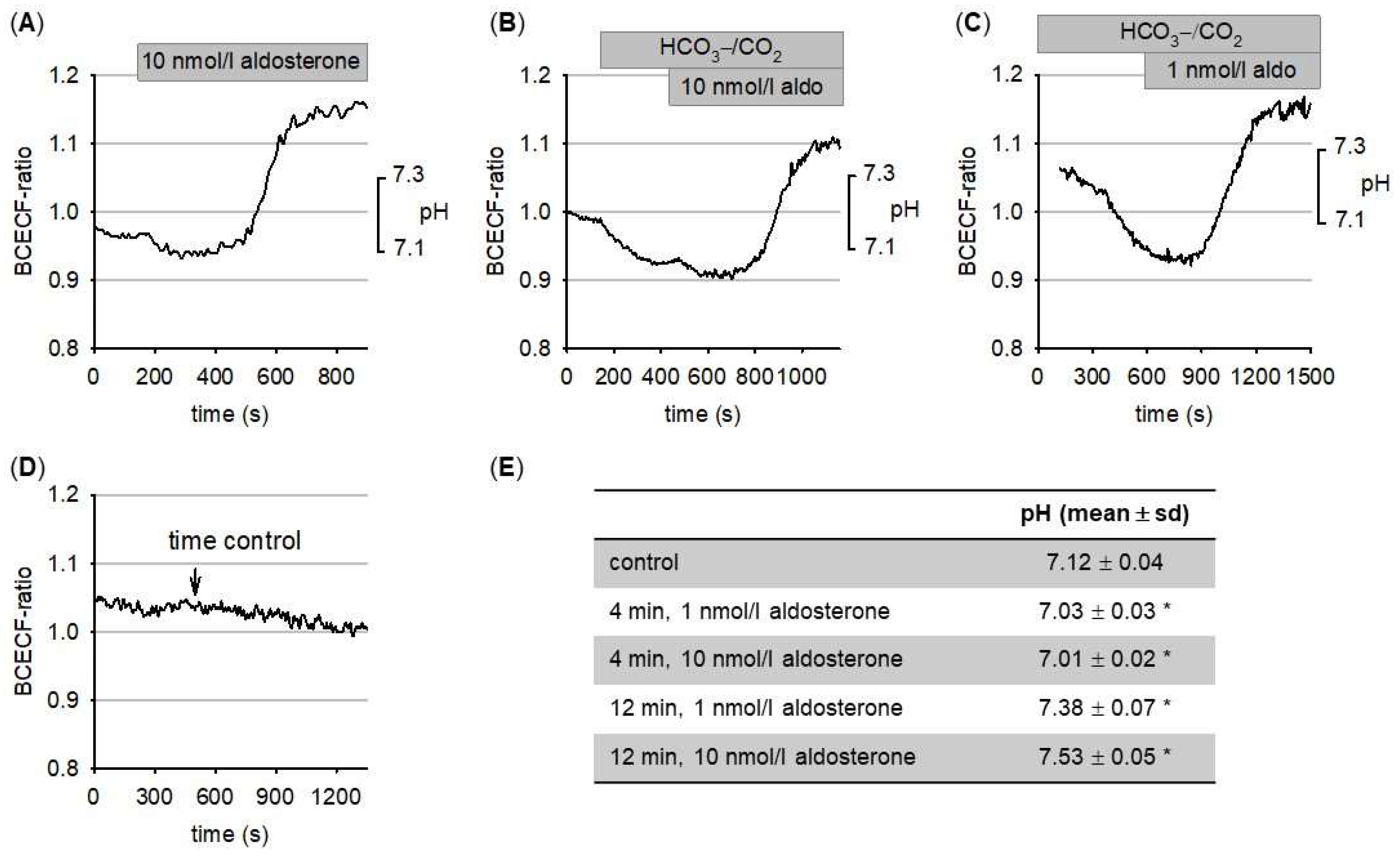 Biomedicines 09 01117 g001