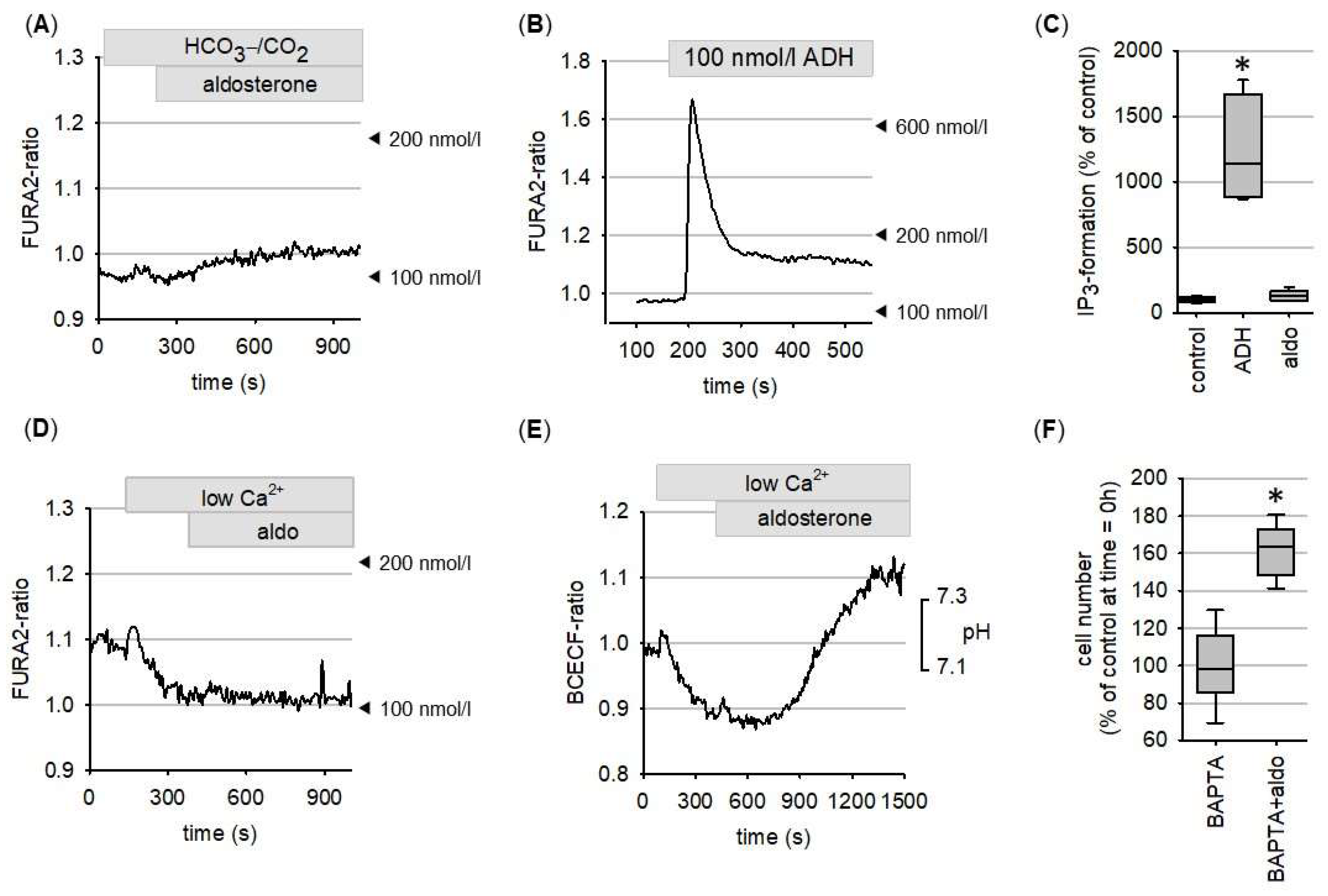 Biomedicines 09 01117 g004