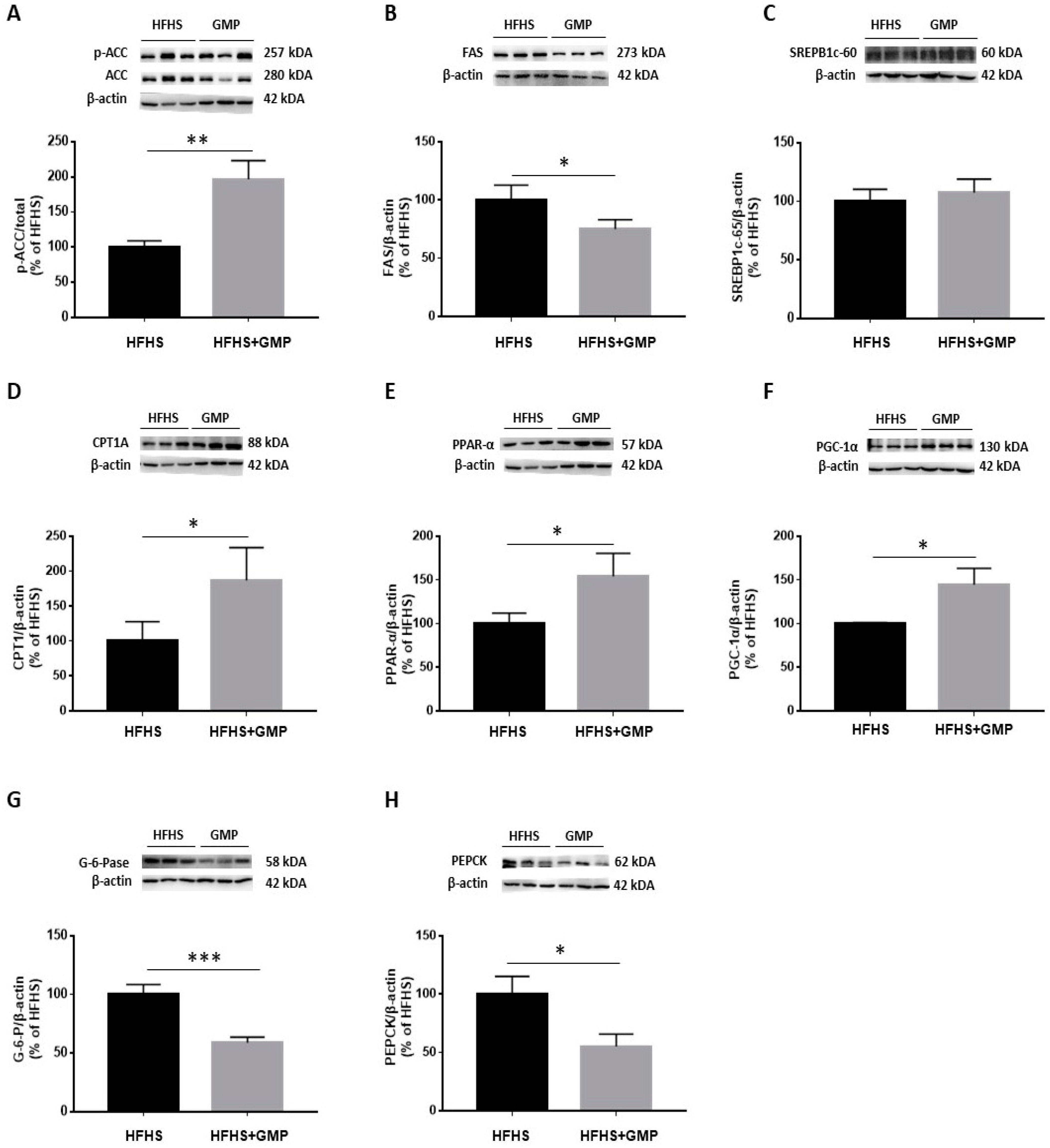 Biomedicines 09 01140 g005