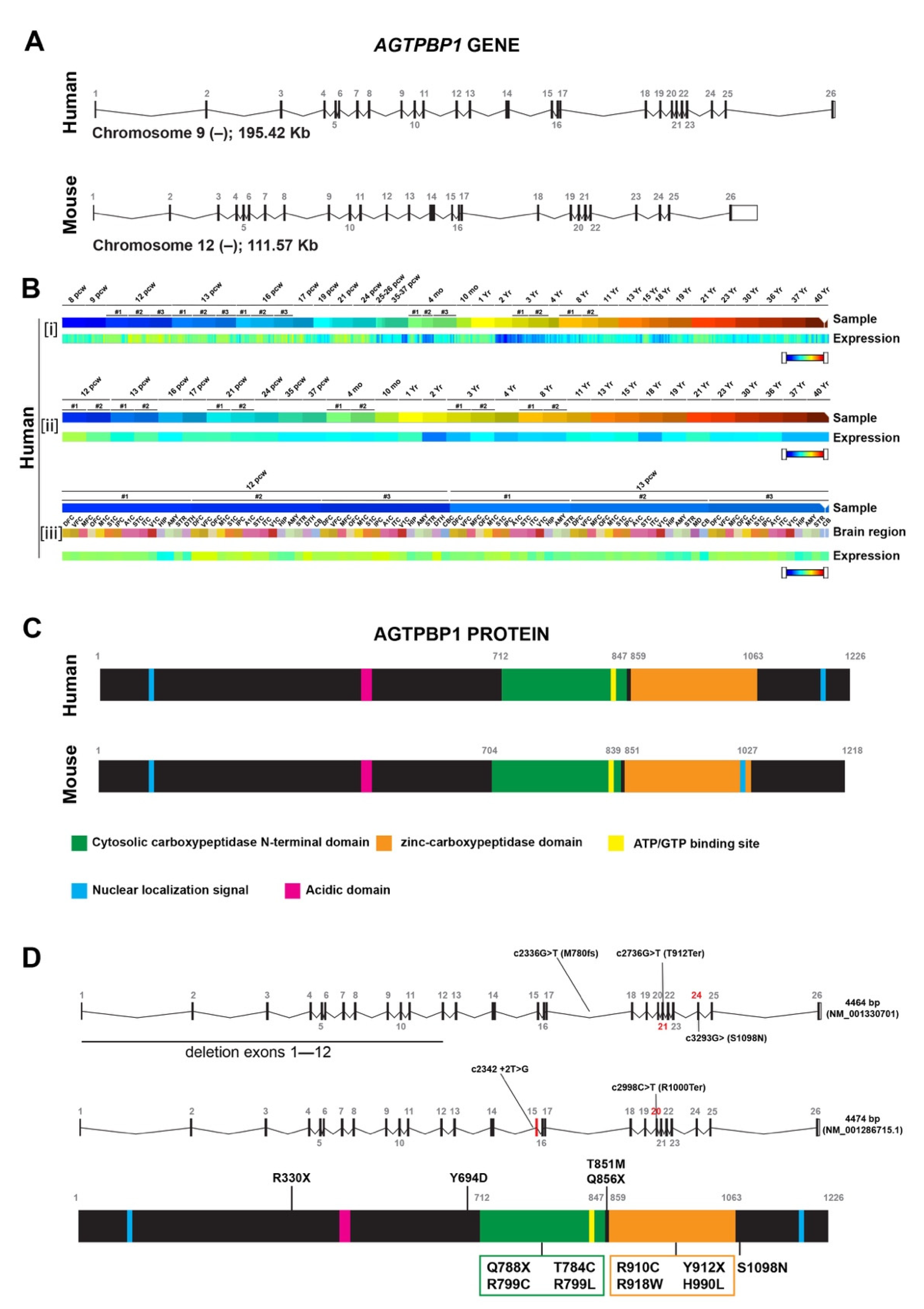 Biomedicines 09 01157 g001