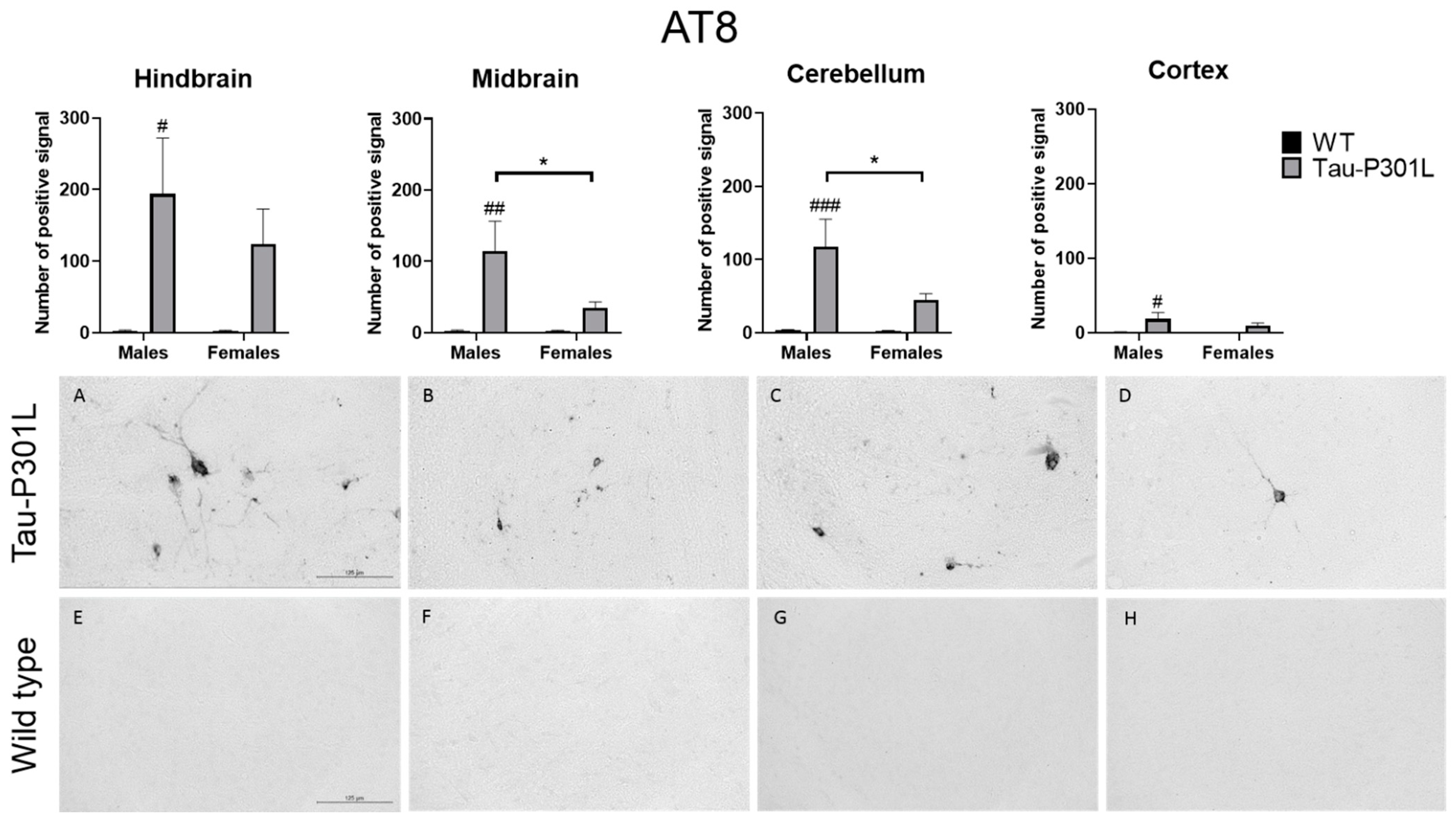 Biomedicines 09 01160 g007