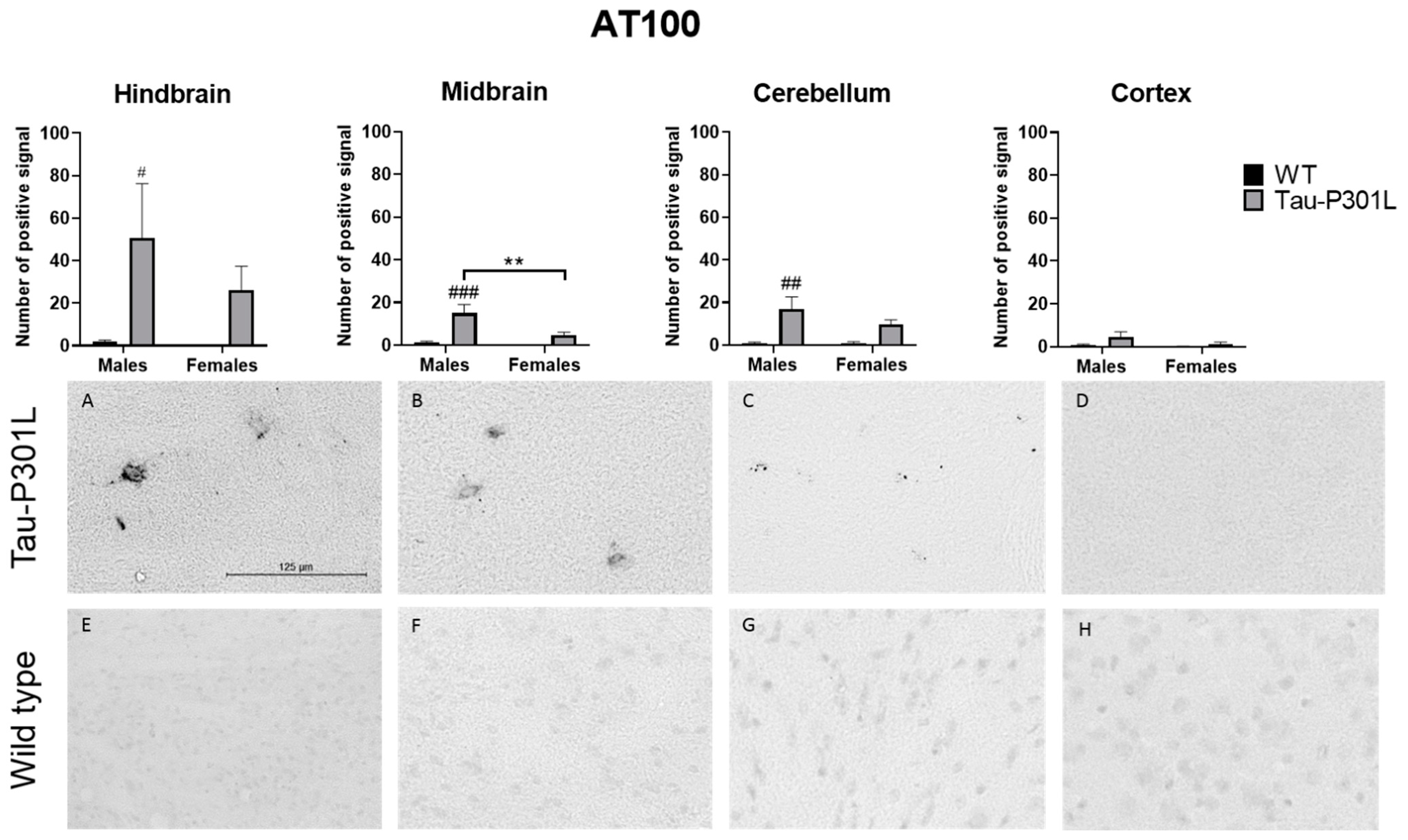 Biomedicines 09 01160 g008