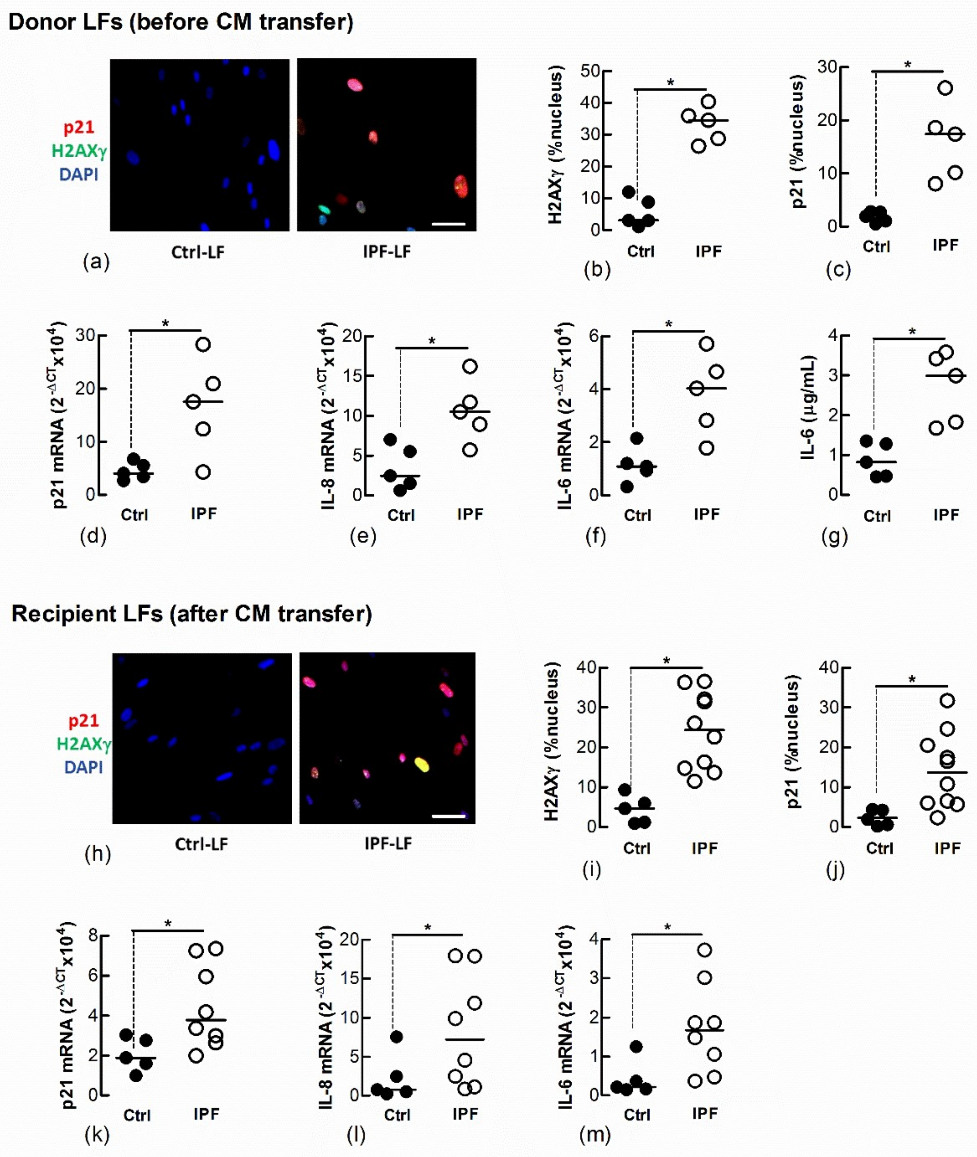 Biomedicines 09 01162 g004