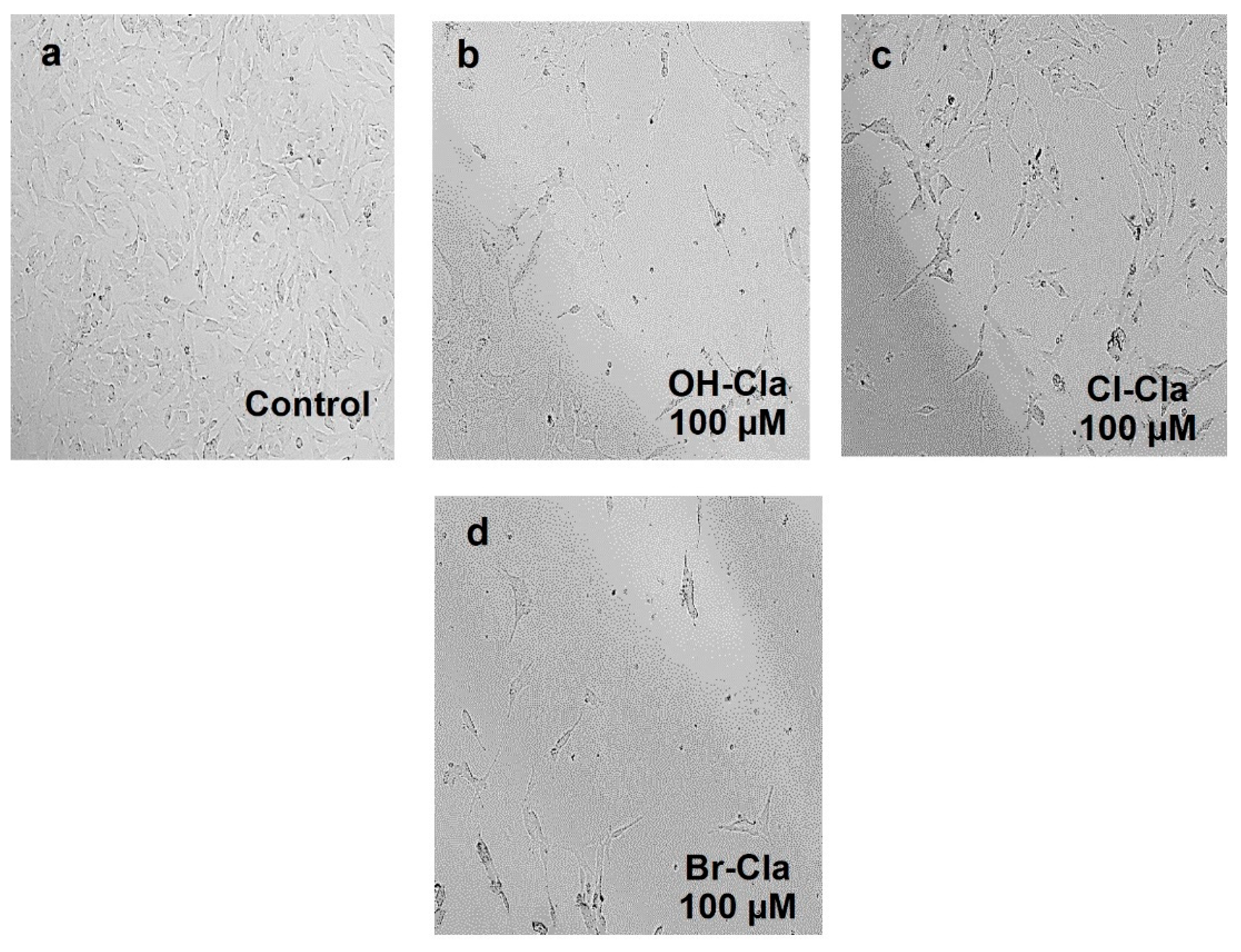 Biomedicines 09 01199 g007
