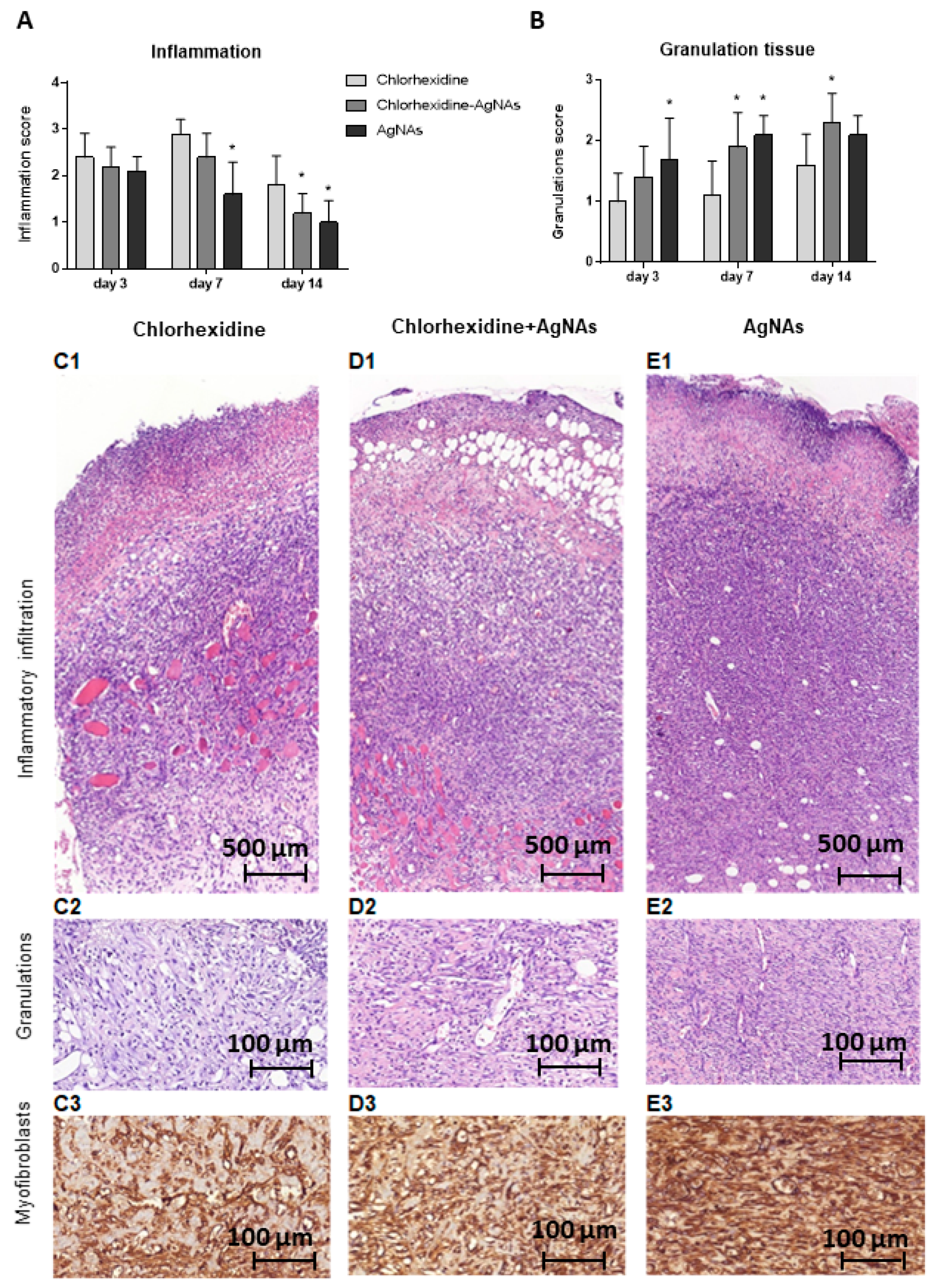 Biomedicines 09 01215 g006