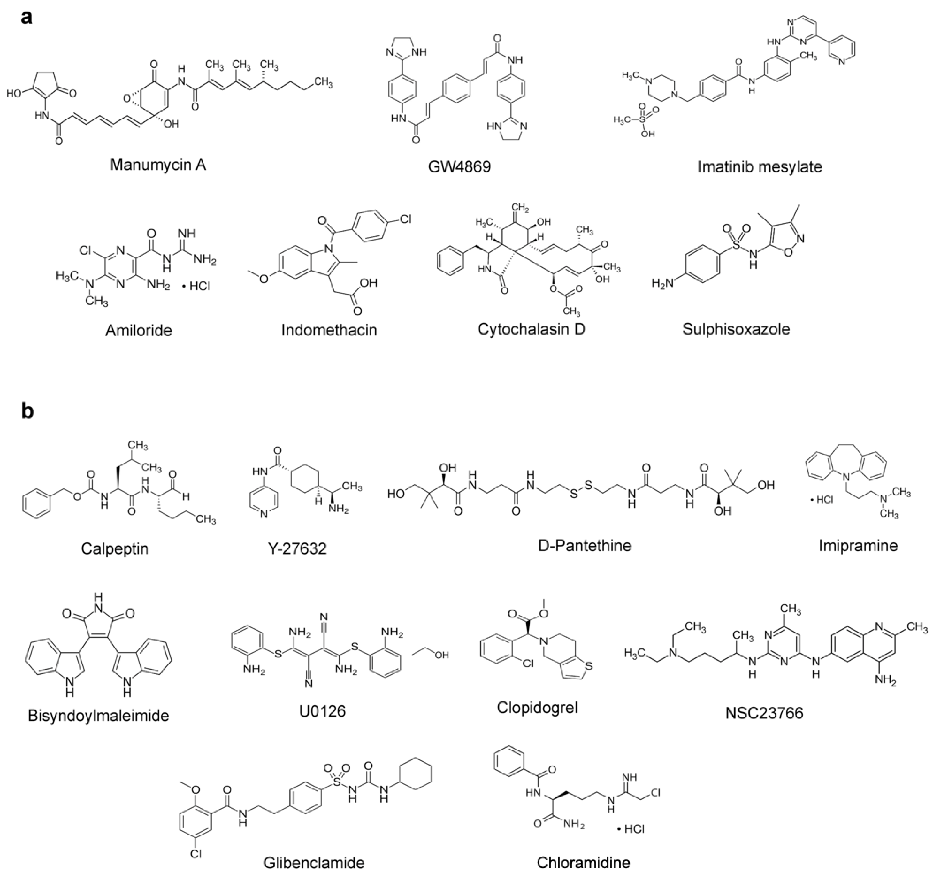Biomedicines 09 01230 g001 Biomedicines 09 01230 g001