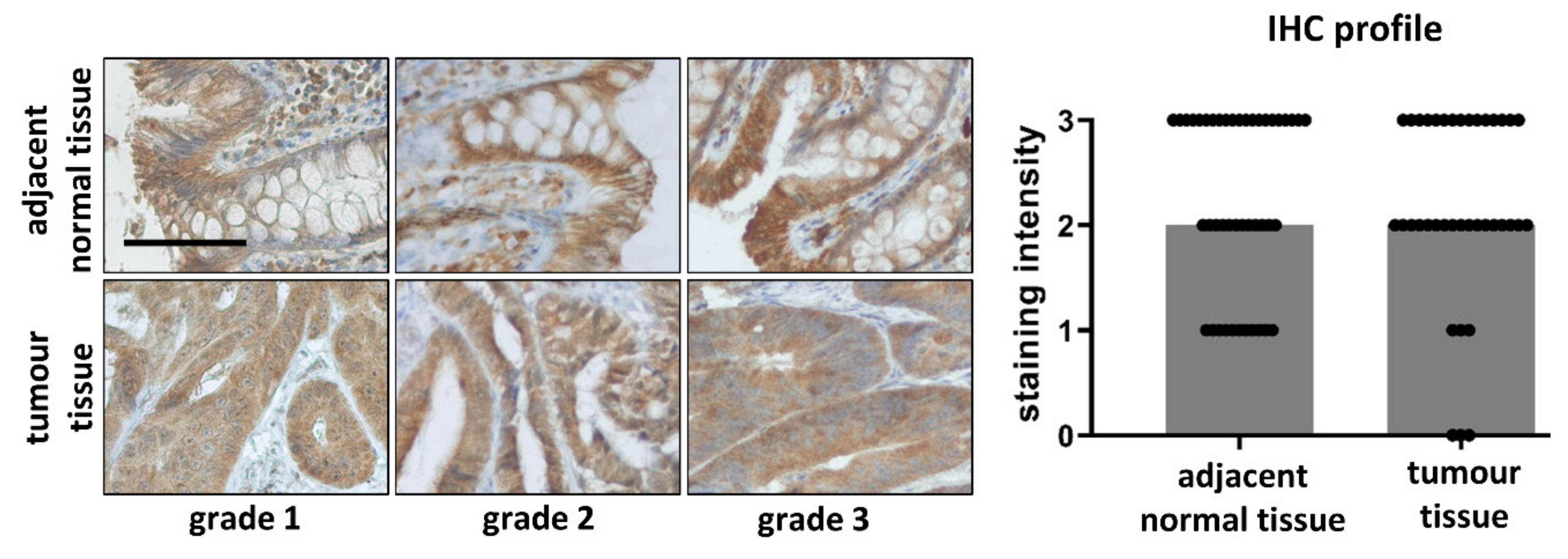 Biomedicines 09 01255 g004